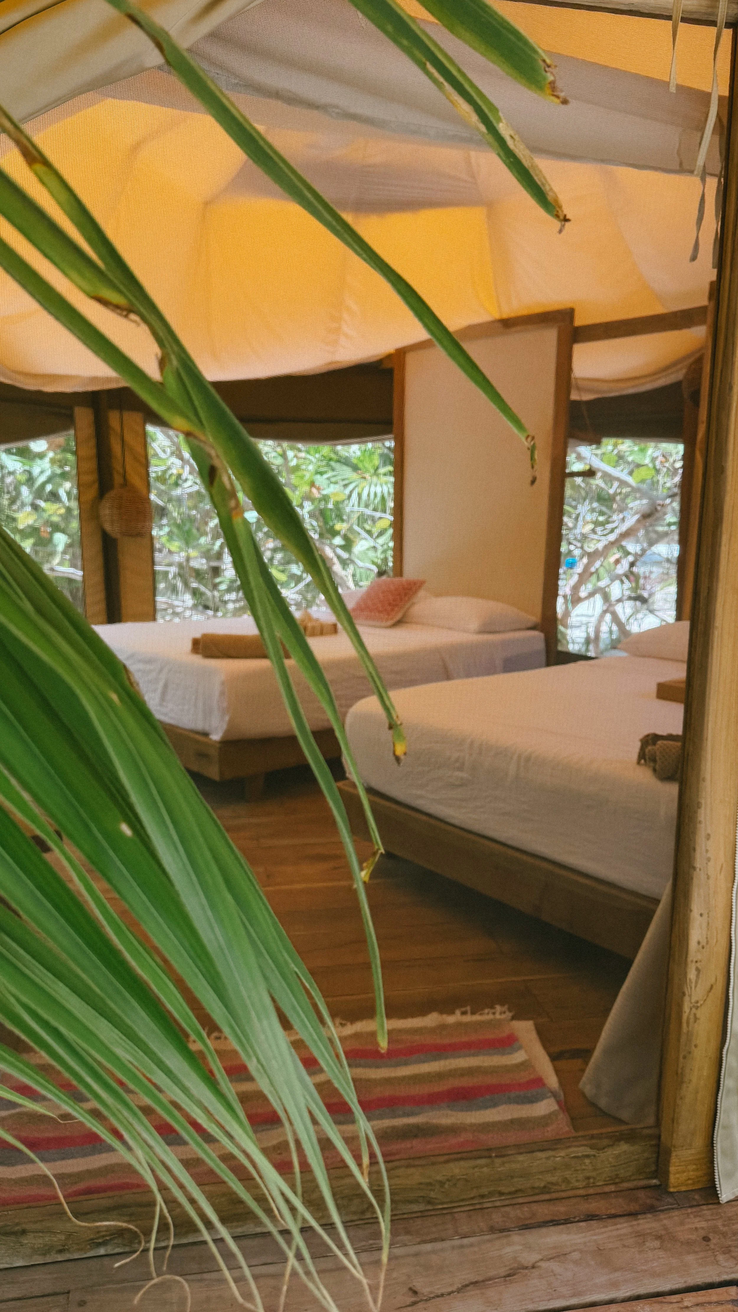 Interior of a cozy bedroom with two beds, wooden floors, and large windows with trees outside, partially obscured by a green plant in the foreground.