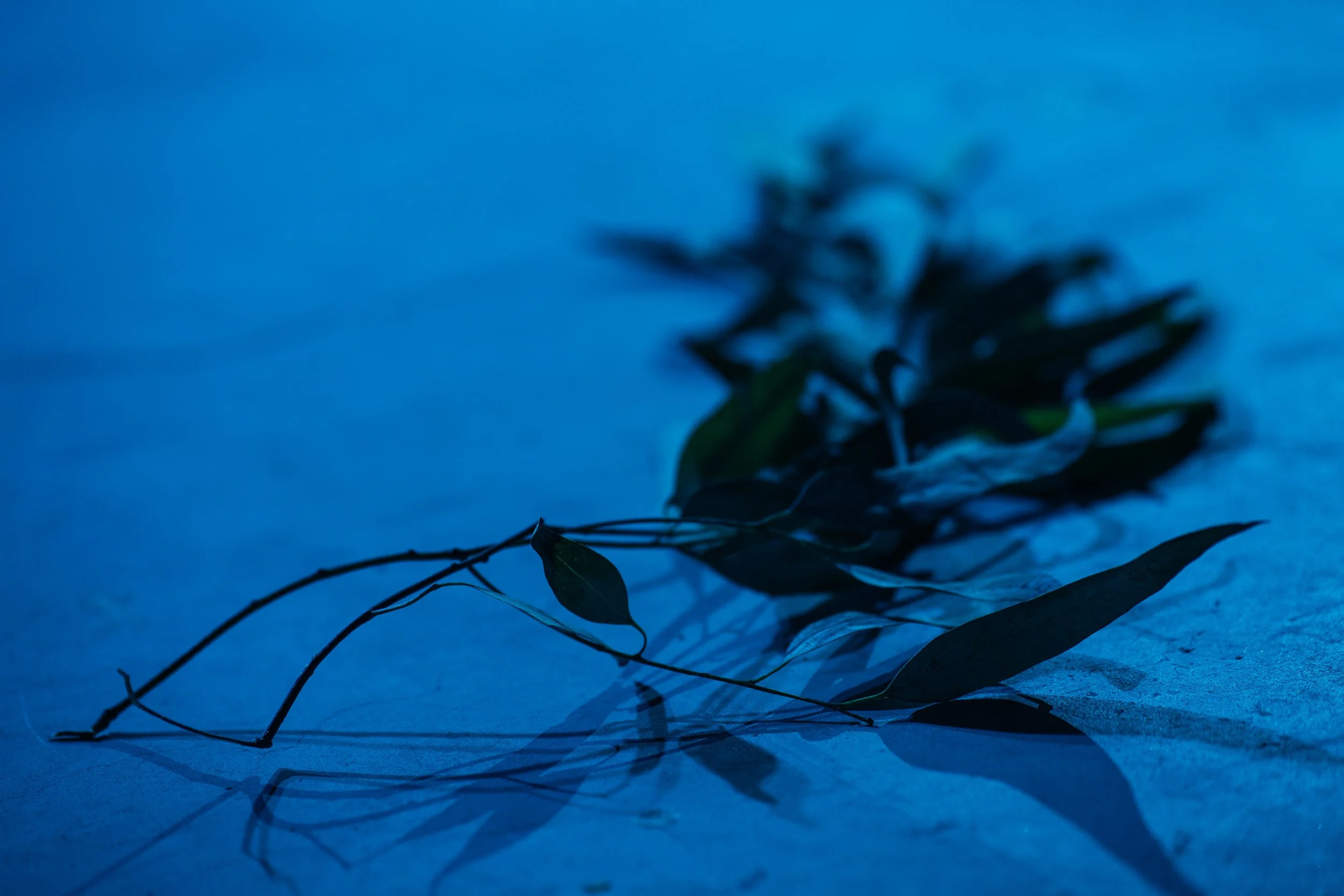 Between the hill and the sea!