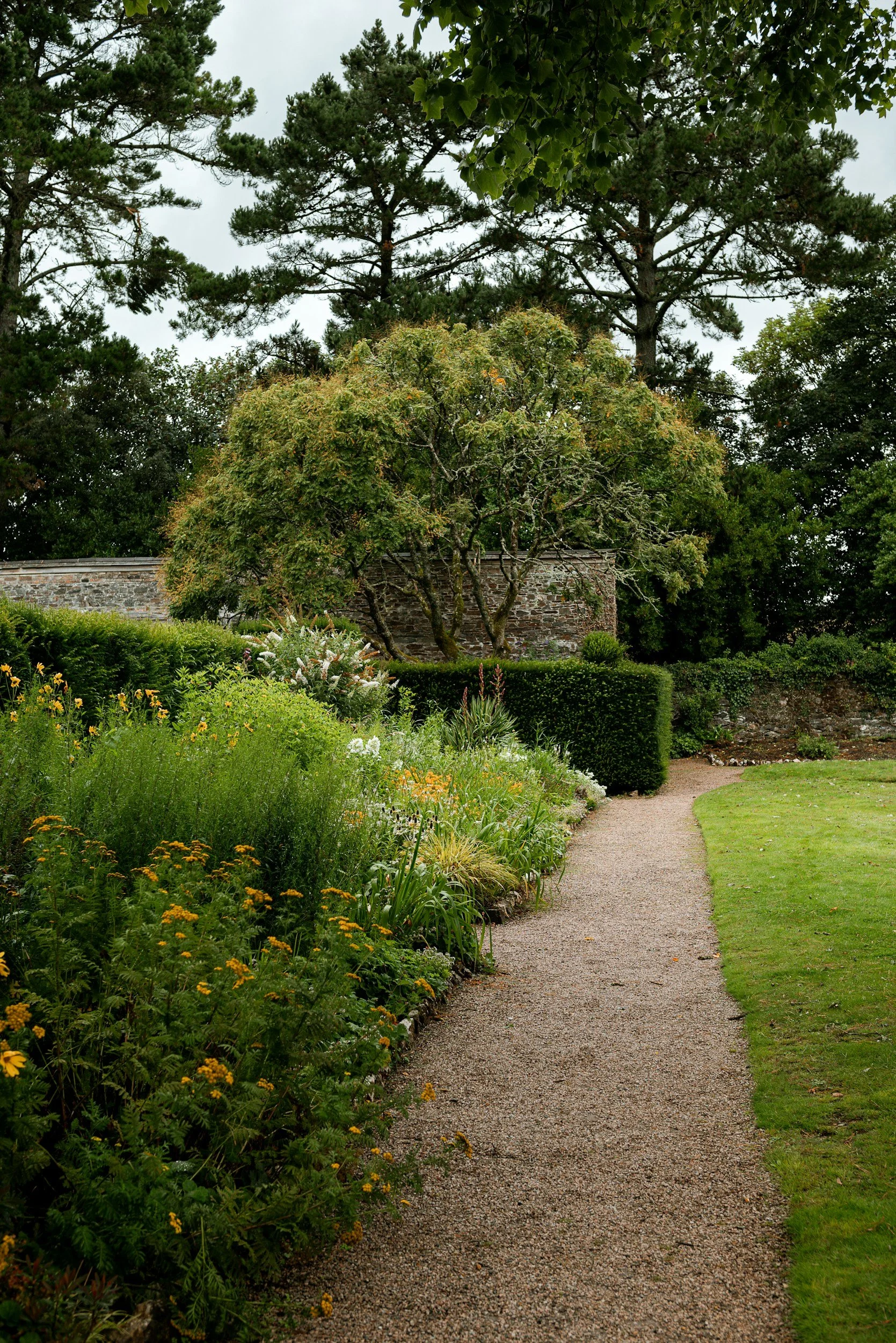 A gravel pathway curves through a lush garden filled with flowering plants and bushes, with a stone wall and tall trees in the background.