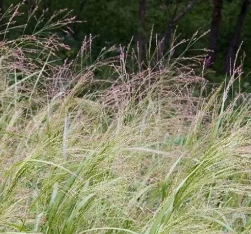 Screenshot 2026-03-09 121626.png