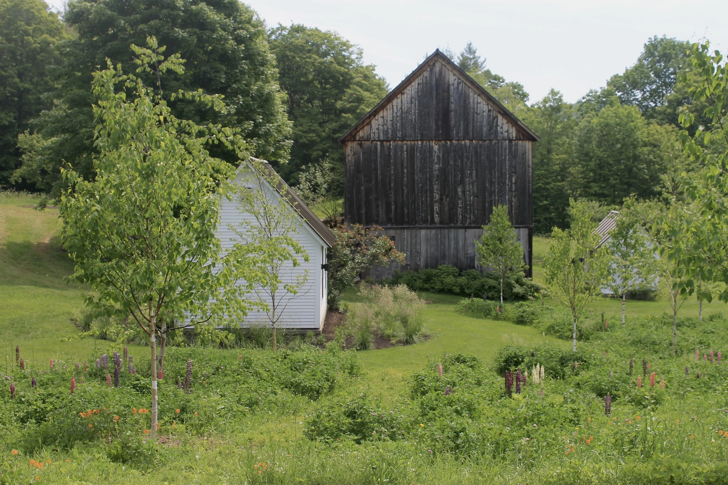 The 10-Year Vision: Designing for Resilience and Legacy in Woodstock, Vermont