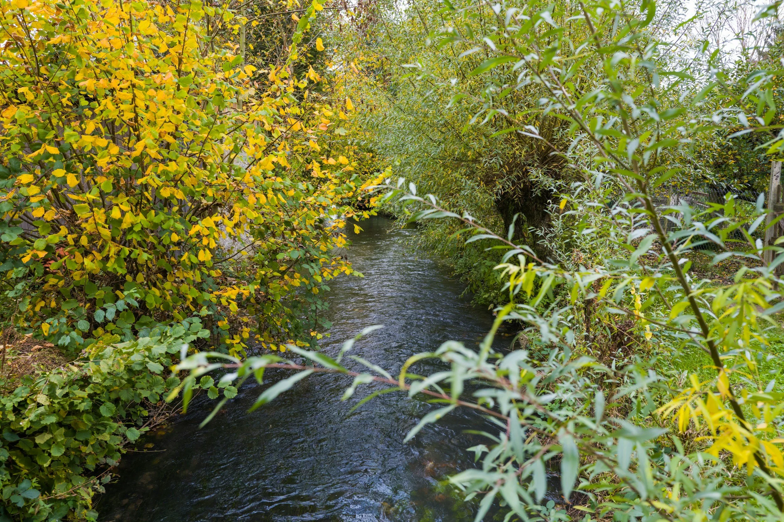 Beyond the Banks: Flood-Resilient Landscape Design for Your Mad River Valley Home