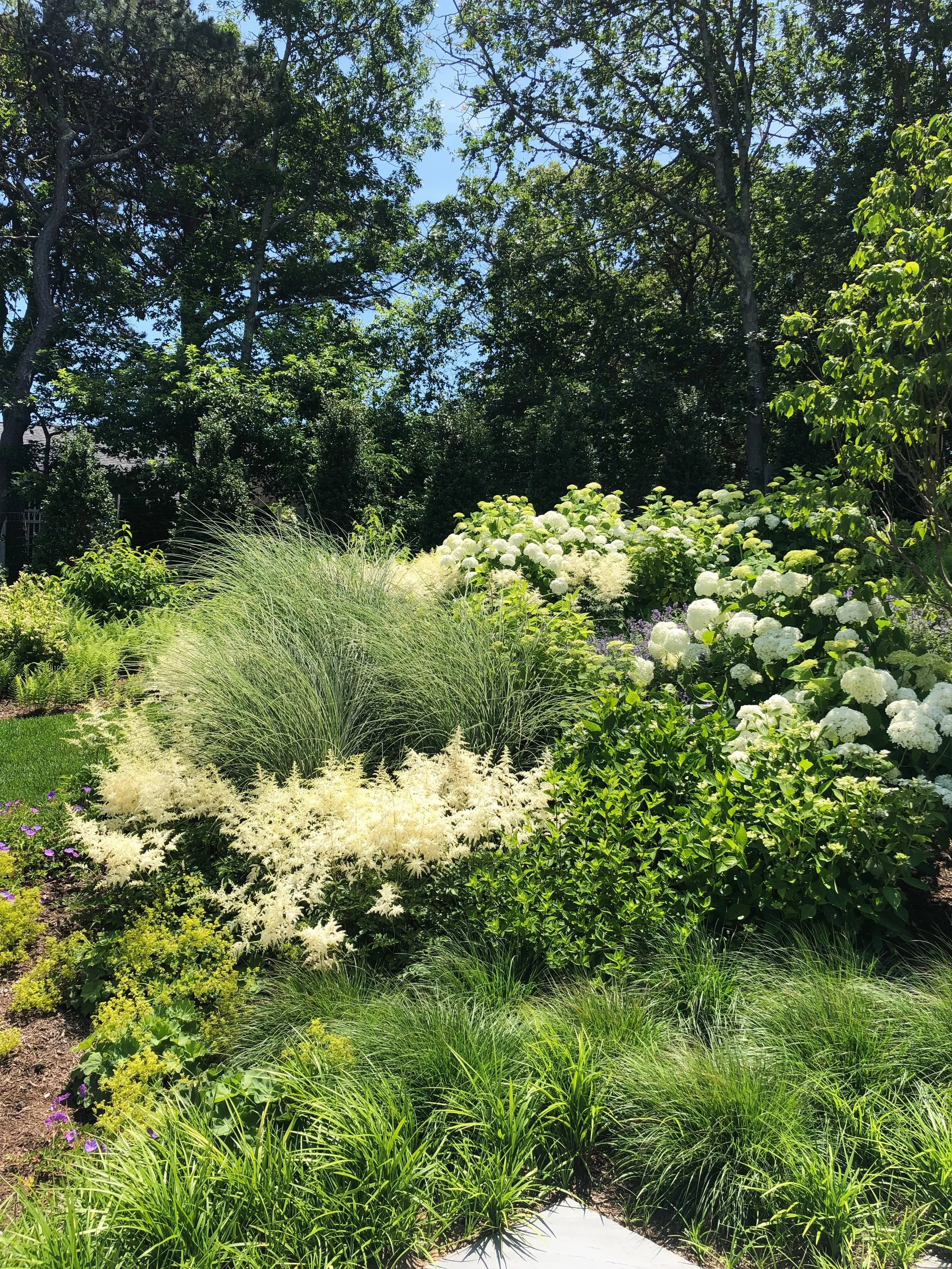 A lush garden with a variety of green plants, white flowering bushes, and tall trees under a bright blue sky with some clouds.