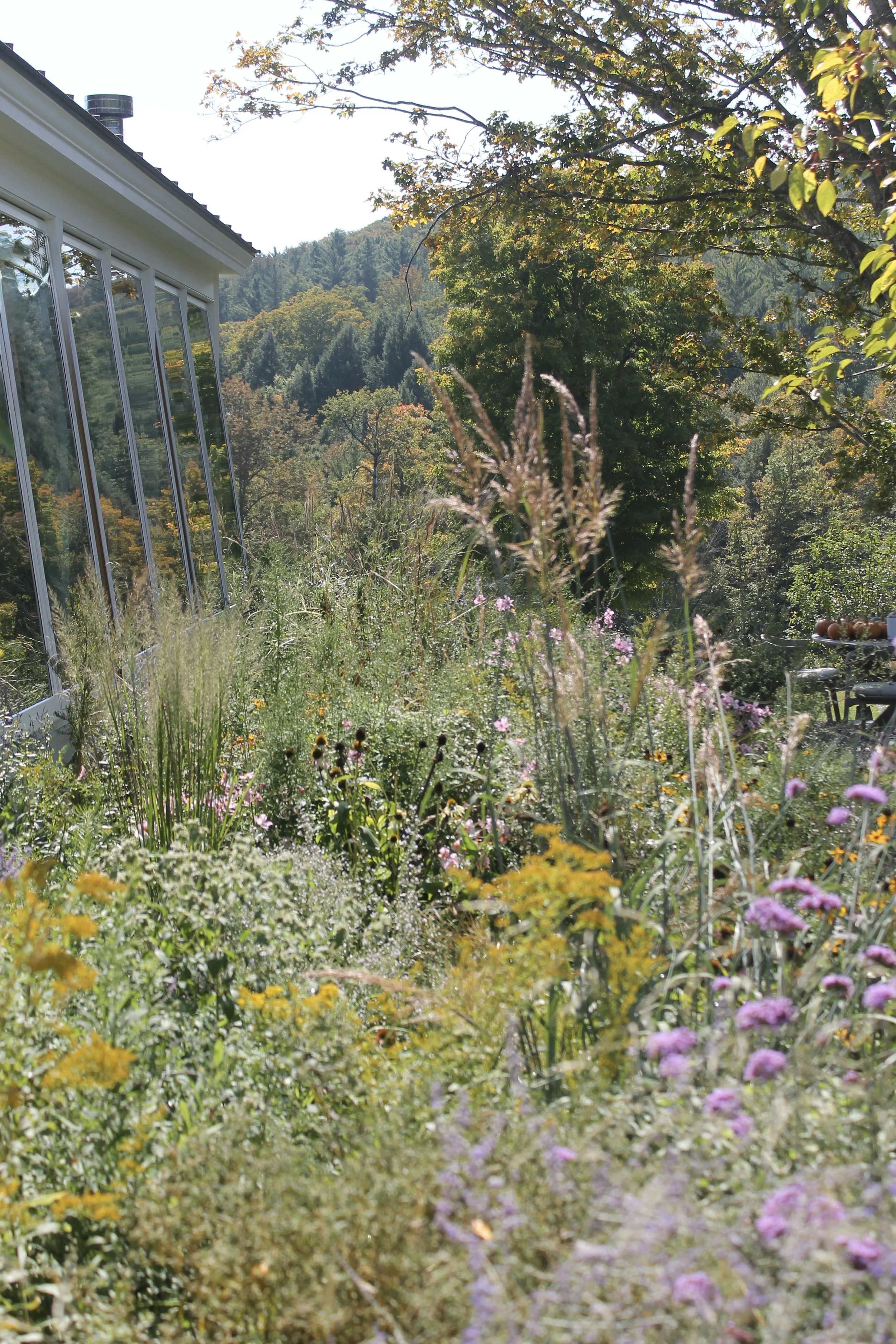 A garden bed filled with purple lavender flowers and lush green foliage, next to a modern building with large windows, trees, and a cloudy sky in the background.