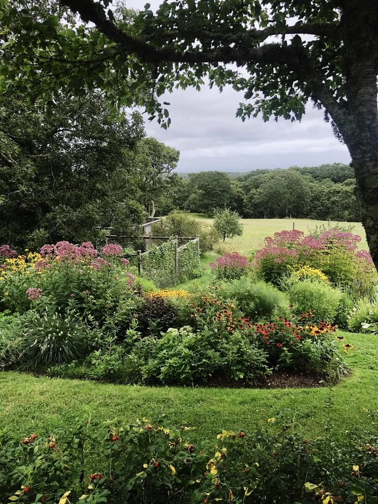 A lush garden with colorful flowers and green foliage, bordered by a grassy lawn and trees, under a cloudy sky.