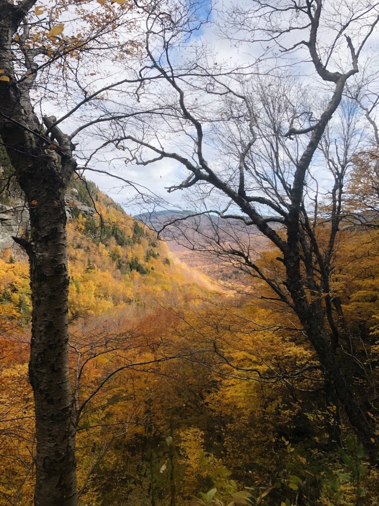 Autumn landscape of a forested mountain valley with leafless and colorful trees, and a cloudy sky.