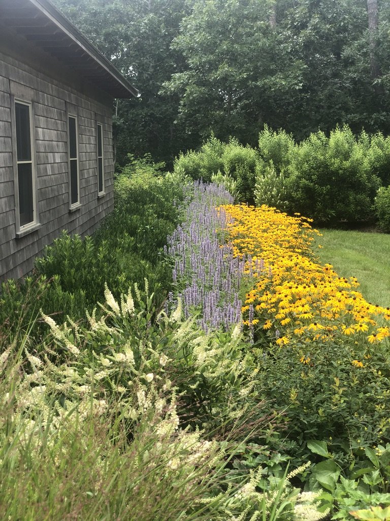 Garden with a variety of flowering and green plants along the side of a house with gray wooden siding, set against a wooded background.