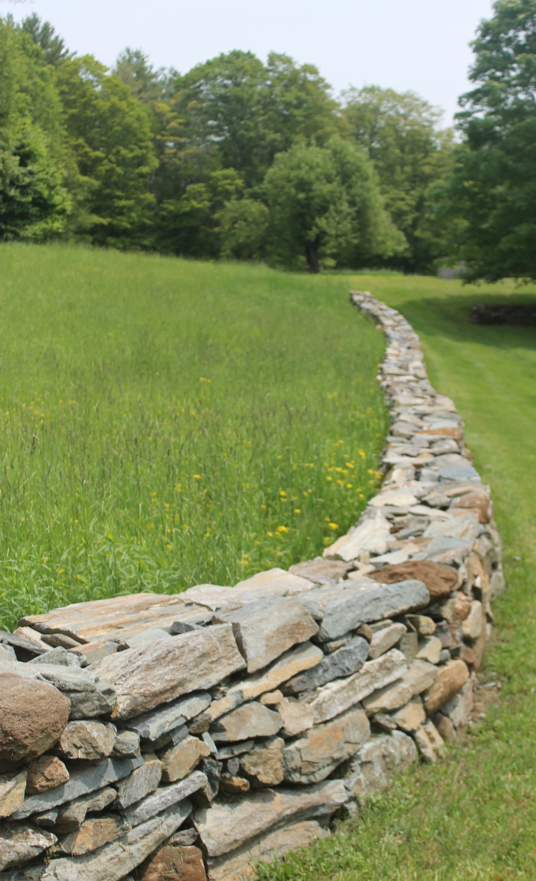 A curved stone wall running through a green grassy field with trees in the background.
