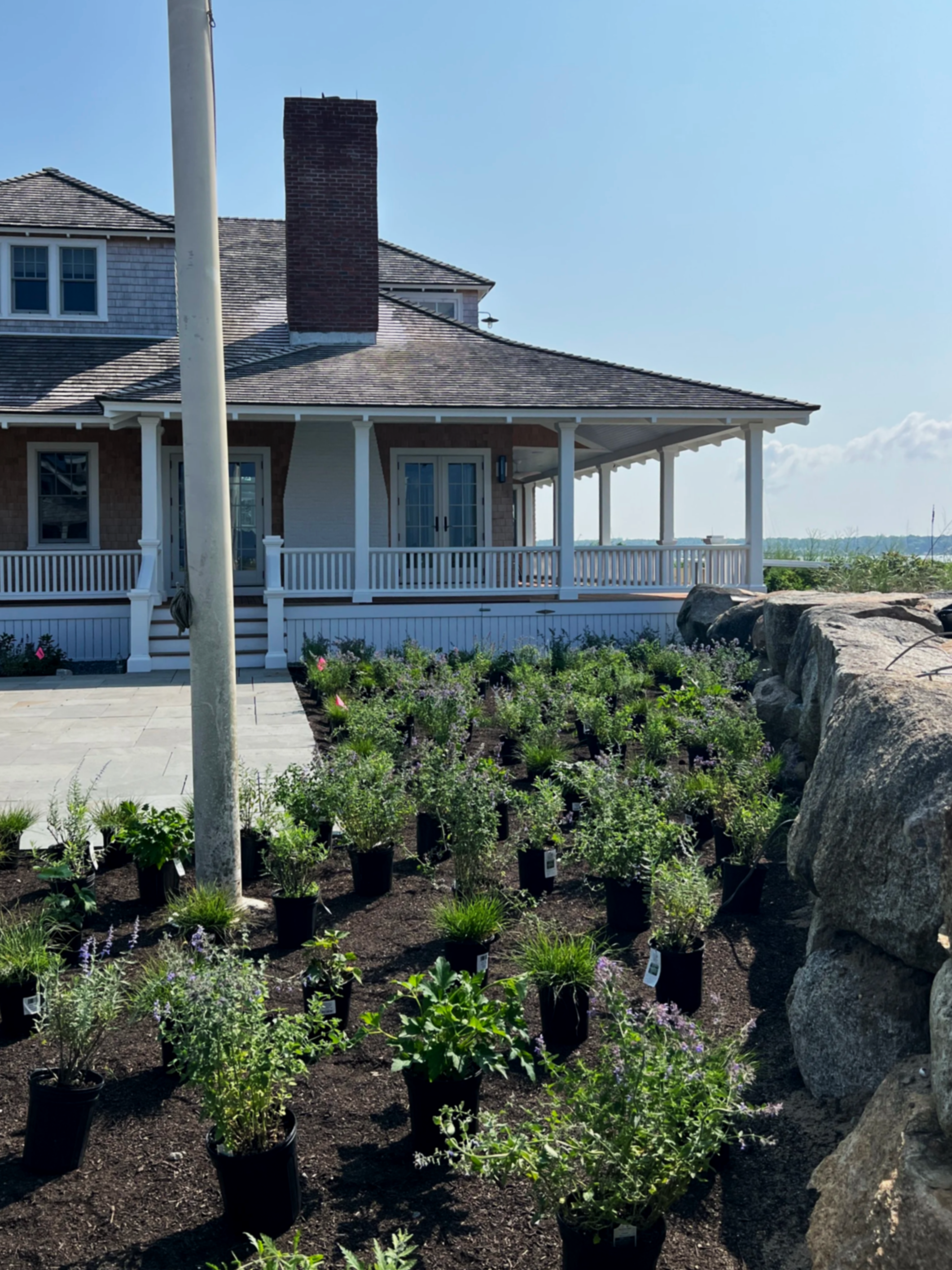 A lush flower garden with colorful blooming flowers, including yellow, pink, and purple, surrounded by green foliage and trees in the background.