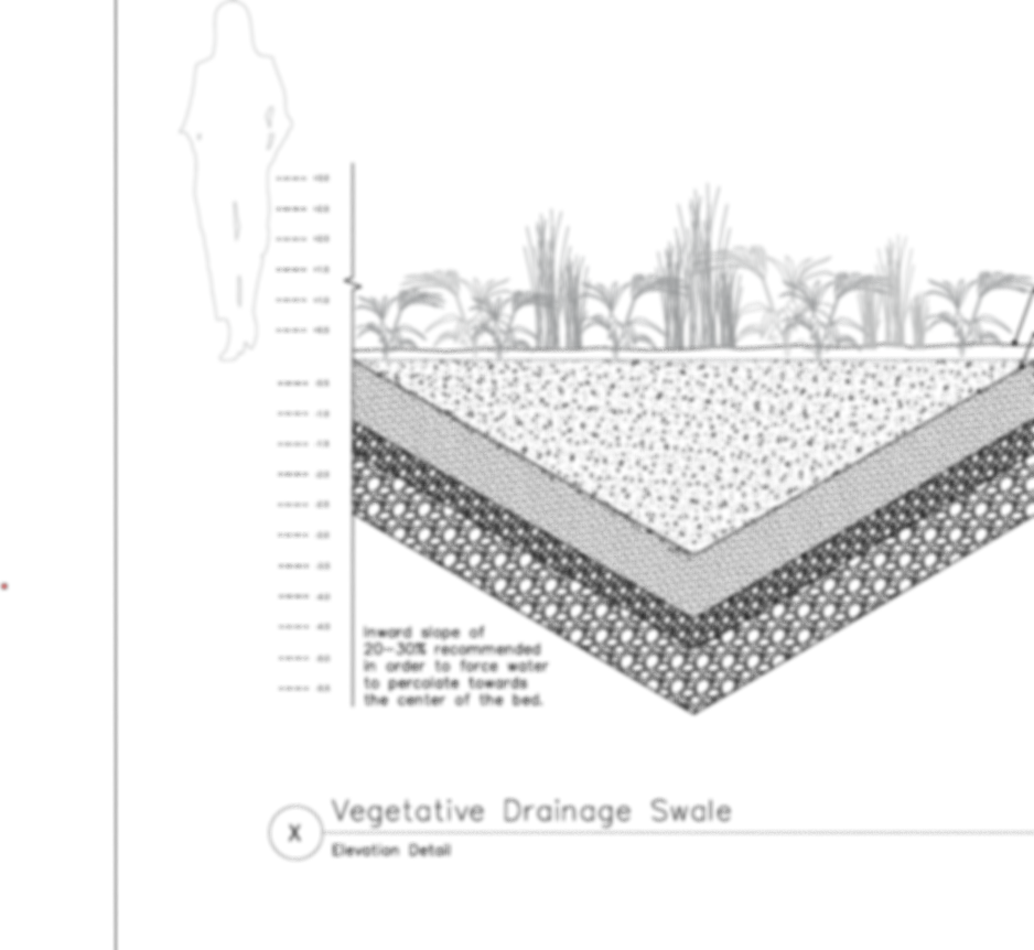 A lush garden with green shrubs, purple and white flowers, tall ornamental grasses, and a small tree in bright sunlight.