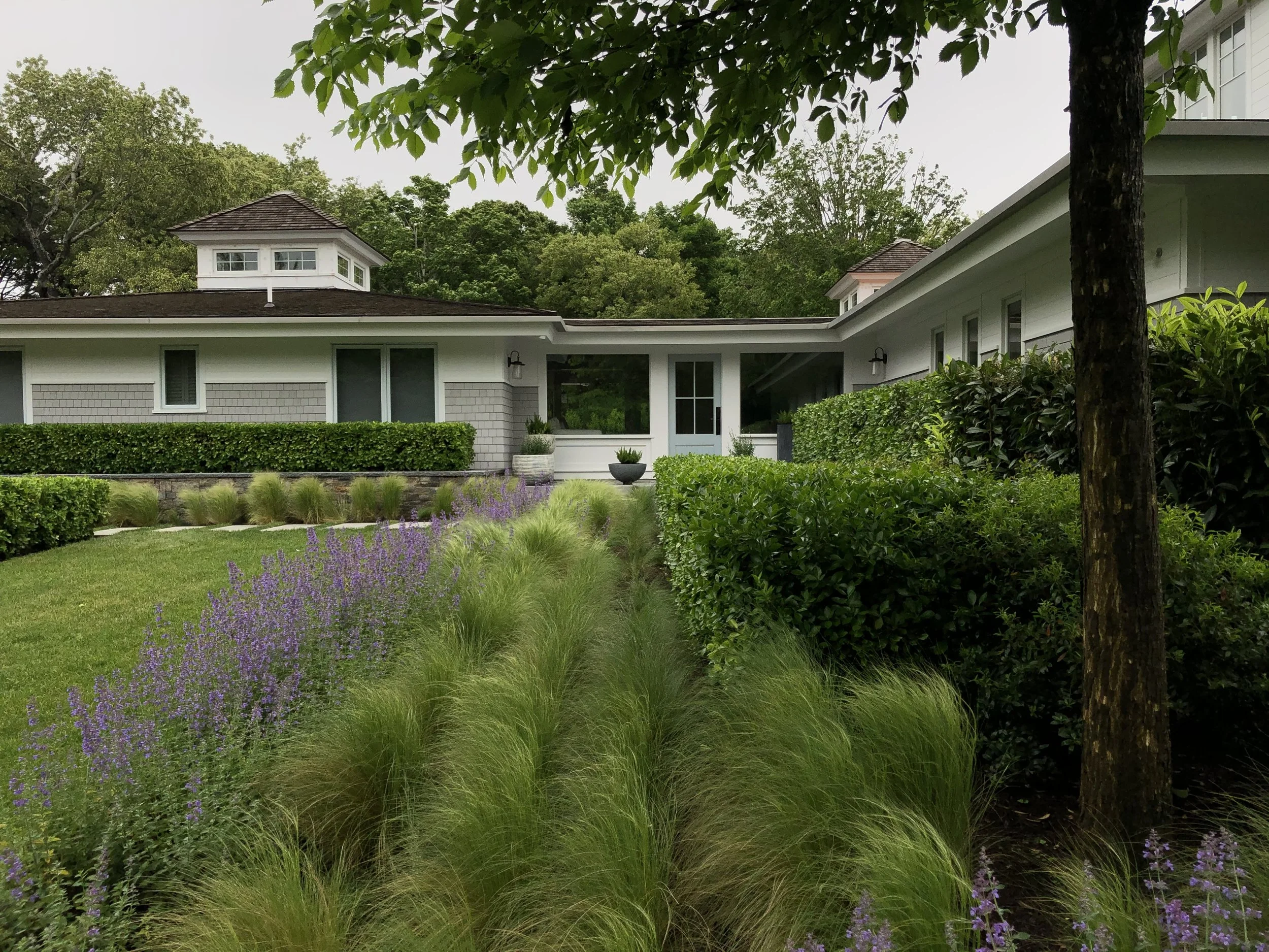 Front view of a modern white house with a large landscaped garden including purple flowers, green shrubs, and trees.