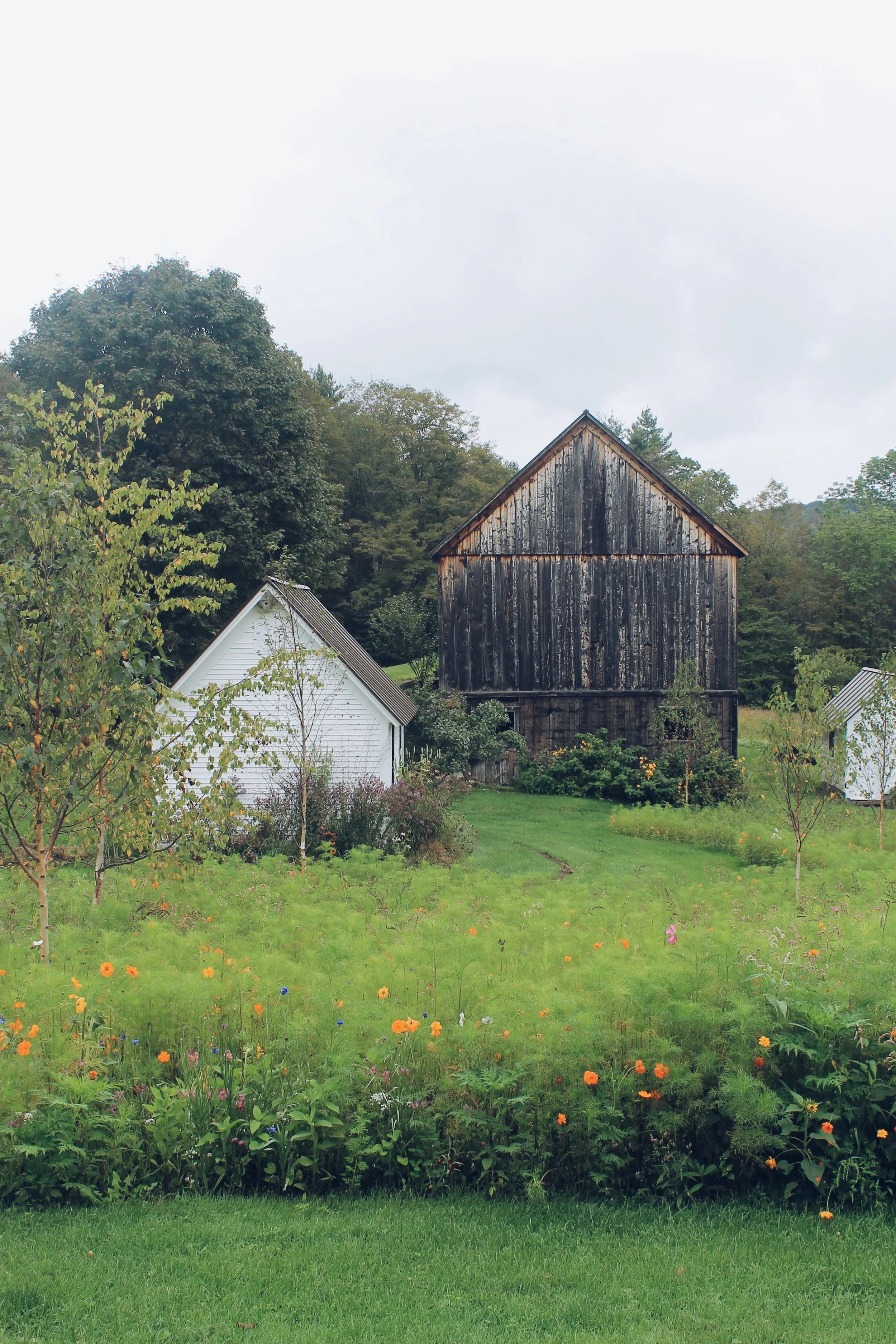 A rural scene featuring a weathered black wooden barn flanked by two smaller white buildings, surrounded by green grass, trees, and colorful flowers, with a cloudy sky overhead.