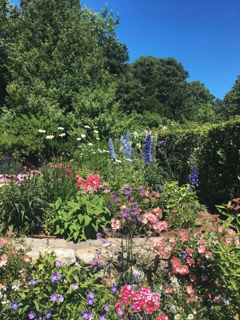 A vibrant garden with blooming pink, purple, and white flowers, surrounded by lush green trees and a clear blue sky in the background.