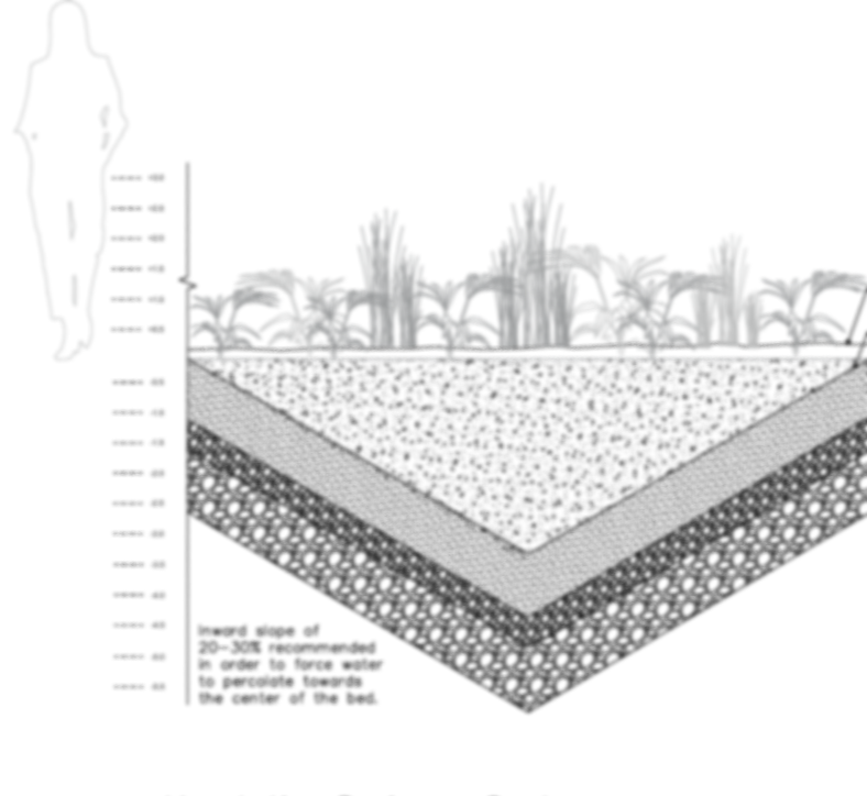 A lush garden with green shrubs, purple and white flowers, tall ornamental grasses, and a small tree in bright sunlight.