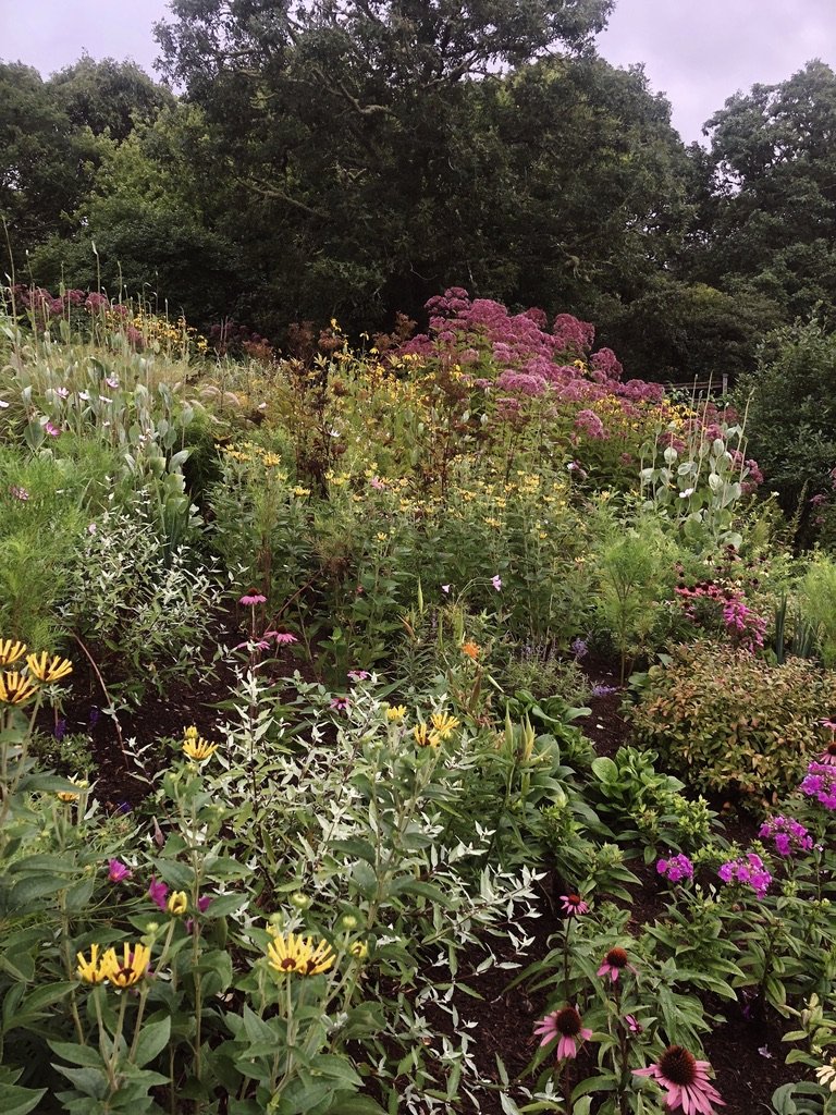 A lush garden filled with various colorful flowers, including yellow, pink, purple, and white blossoms, with a backdrop of green trees and a cloudy sky.