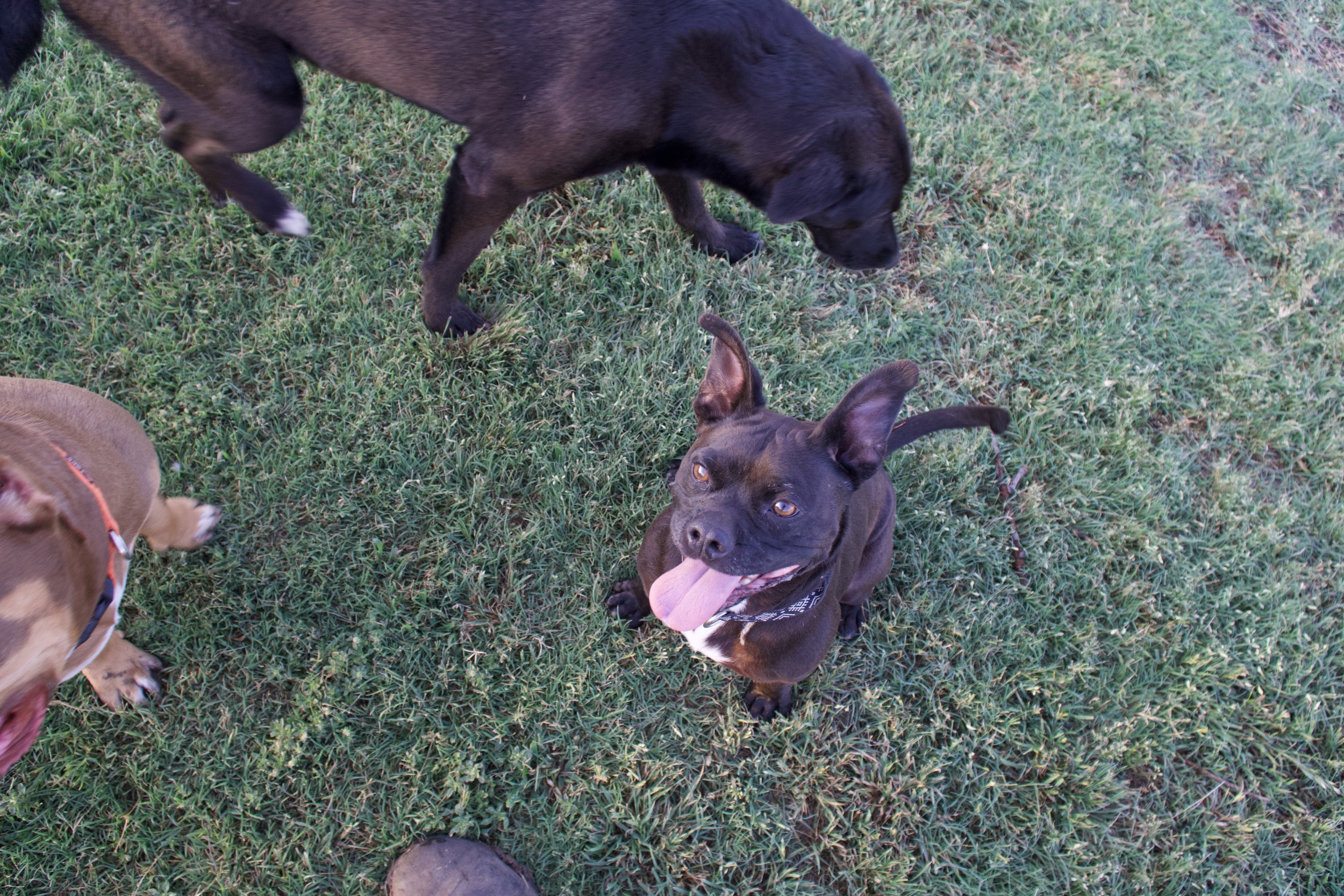DSC01033 2.jpeg