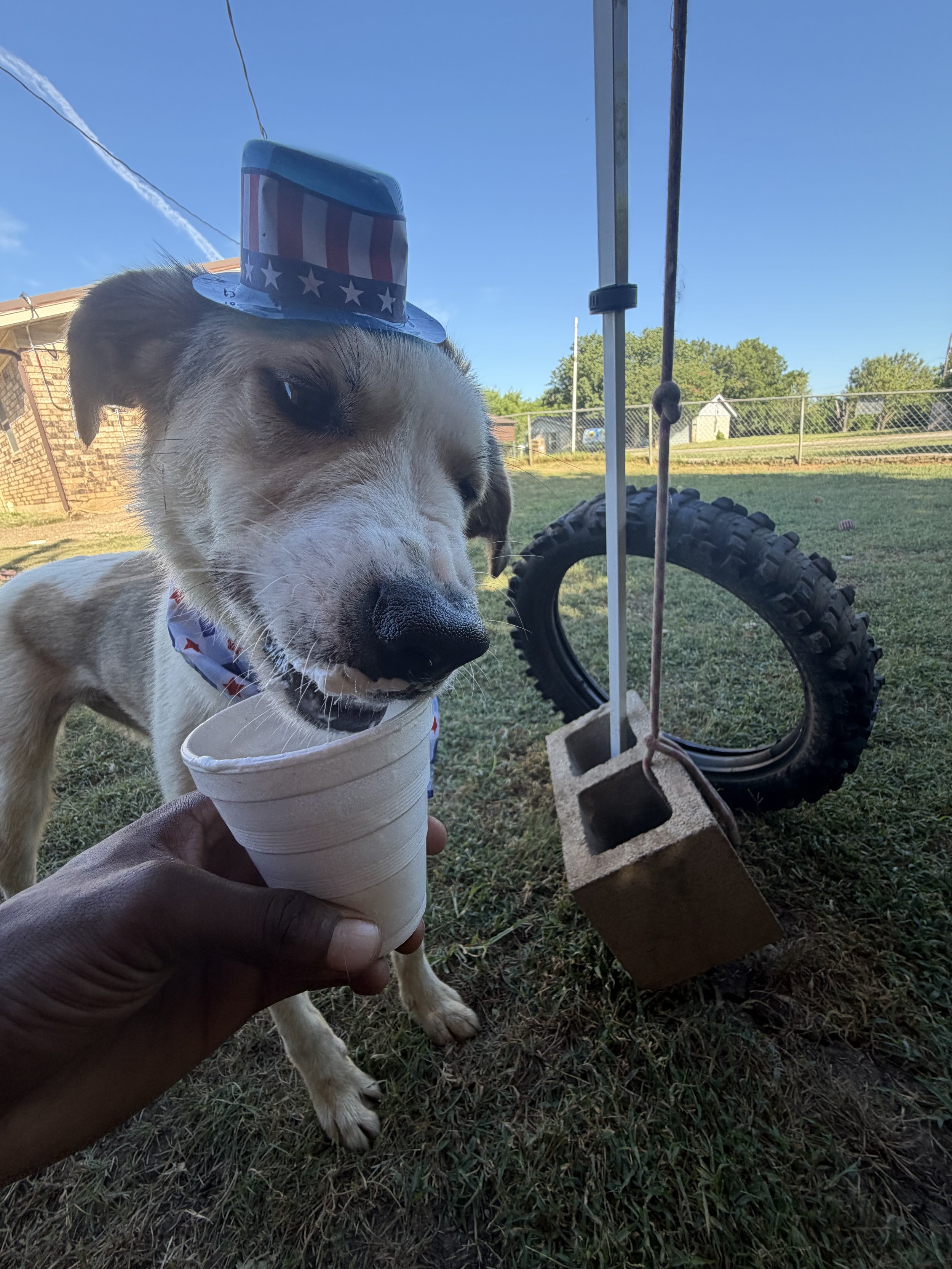 IMG_0035.jpeg
