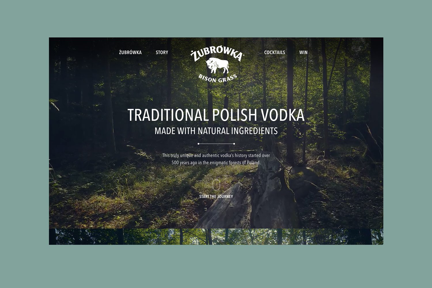 Zubrowka2.jpg