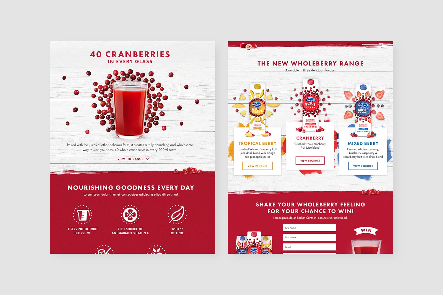 OceanSpray4.jpg
