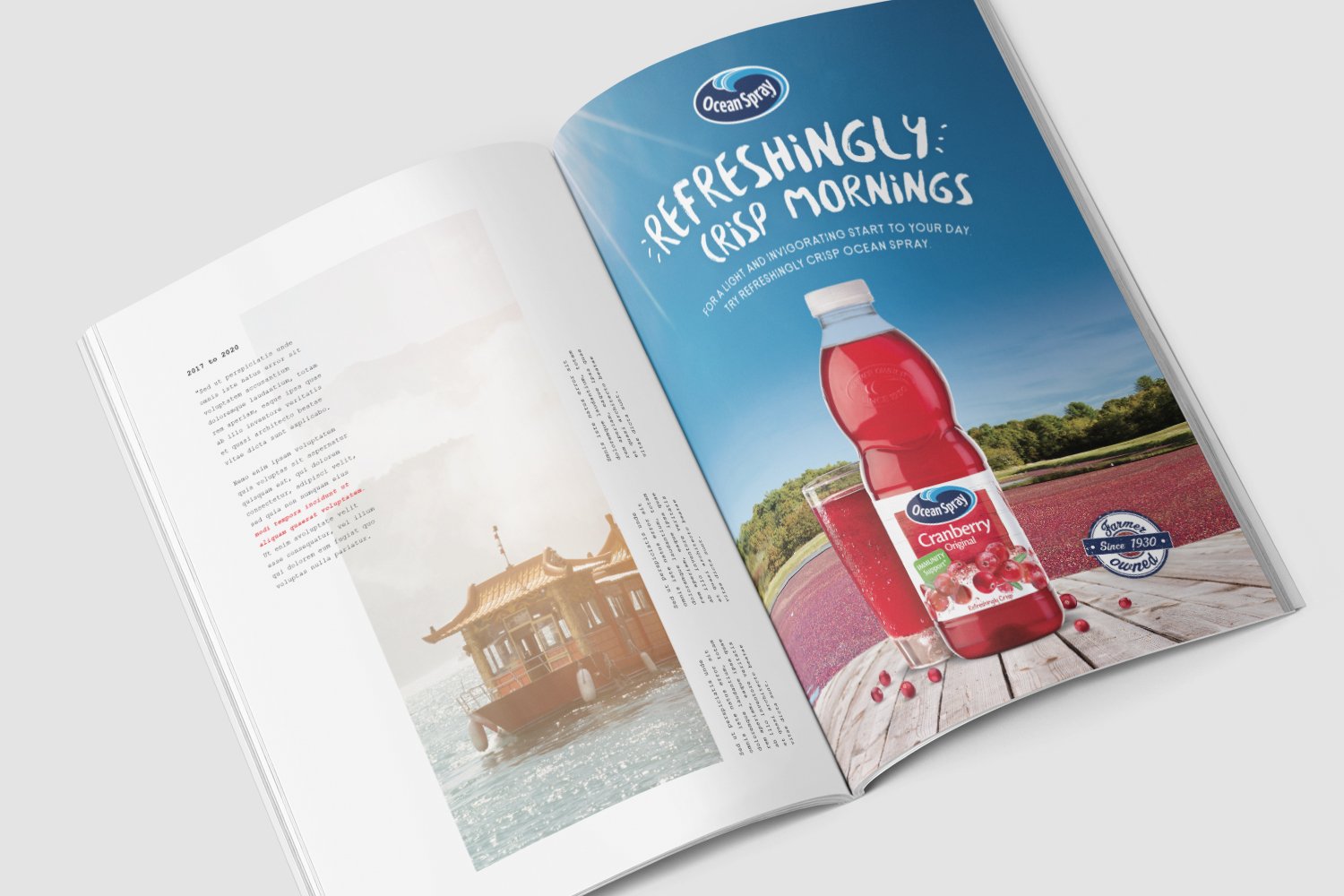 OceanSpray5.jpg