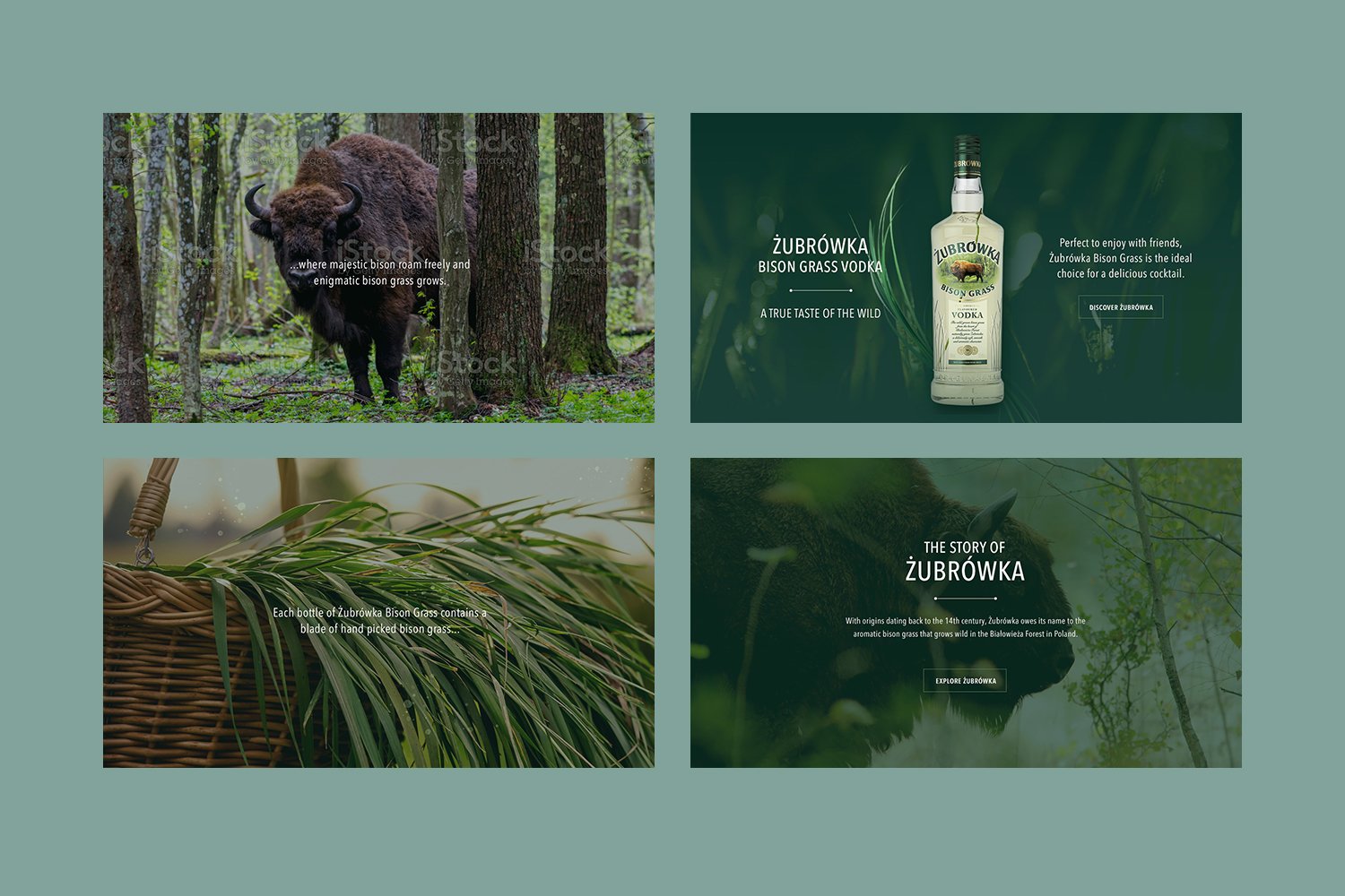 Zubrowka6.jpg