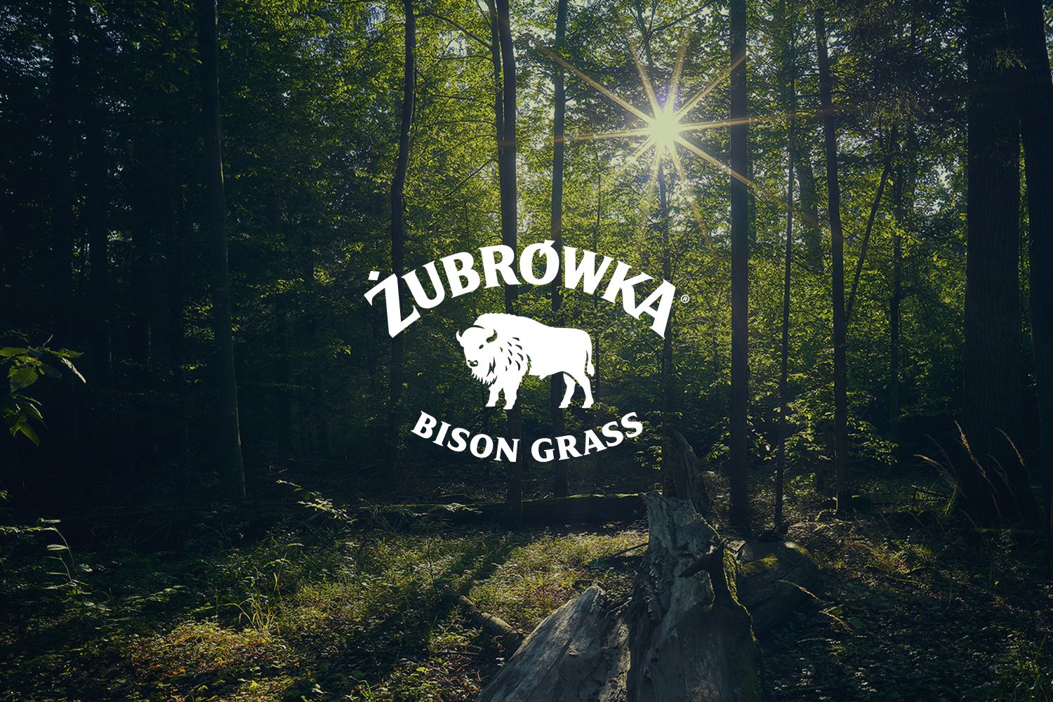 Zubrowka11.jpg