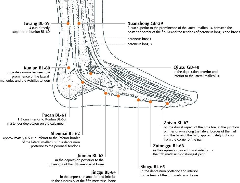 Toe The Line

December has us all doing a double-take with a whirlwind of activity, and it can be hard to slow down and focus on doing the work needed to stay healthy and to feel our best. 

I was in such a state a few days ago when I walked into som