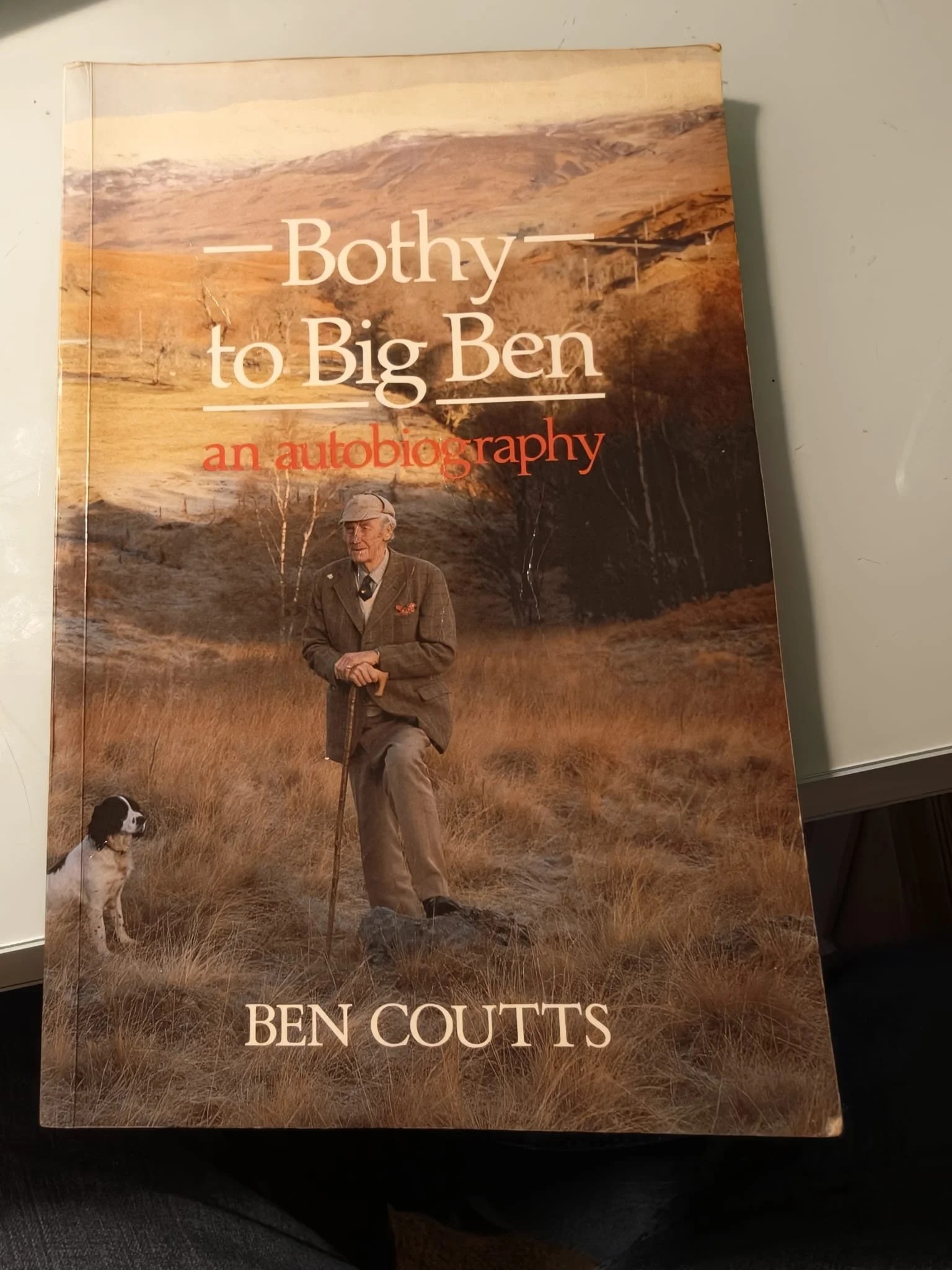 WhatsApp Image 2026-04-27 at 20.53.43 (2).jpeg