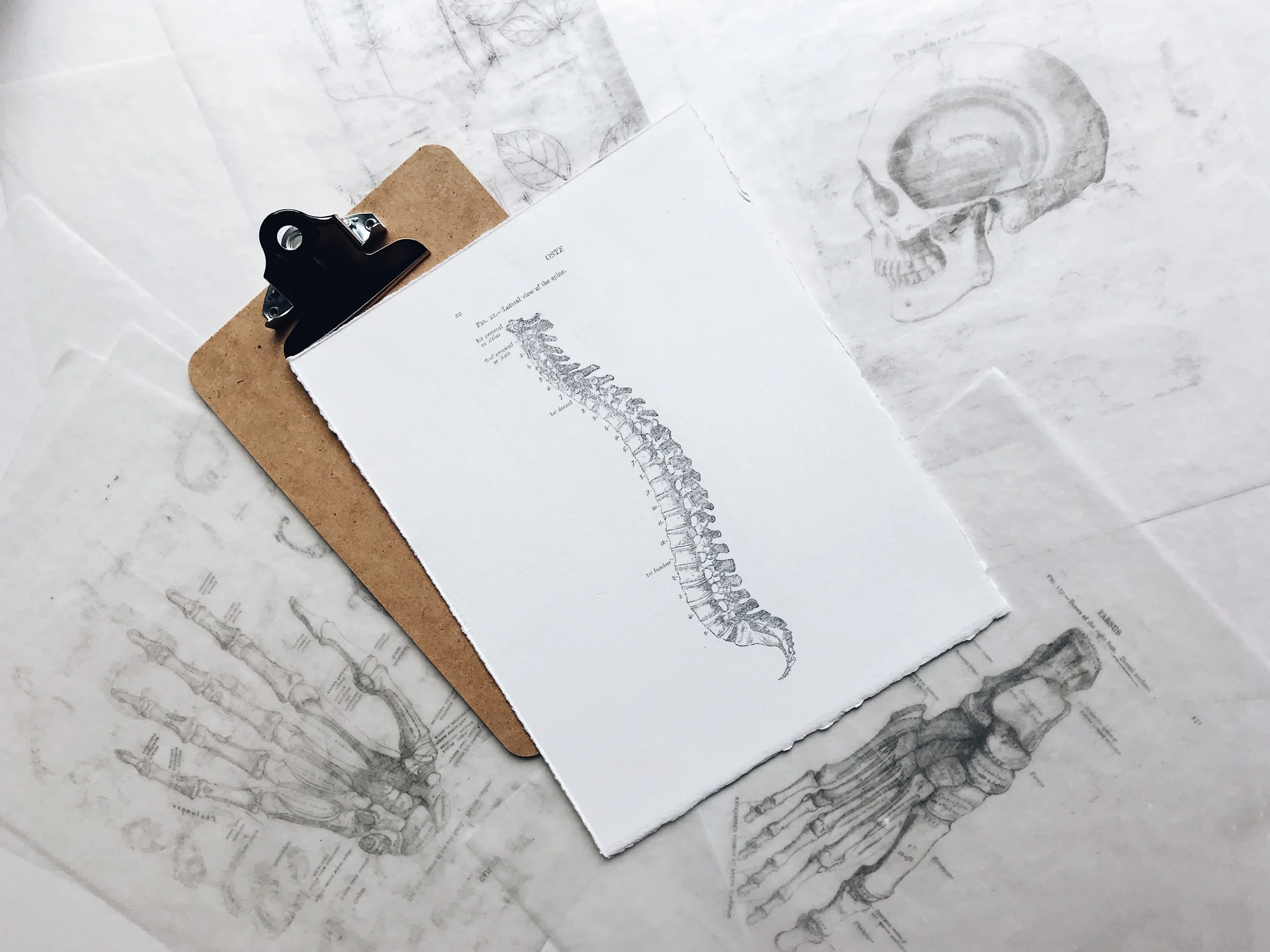 spine injury