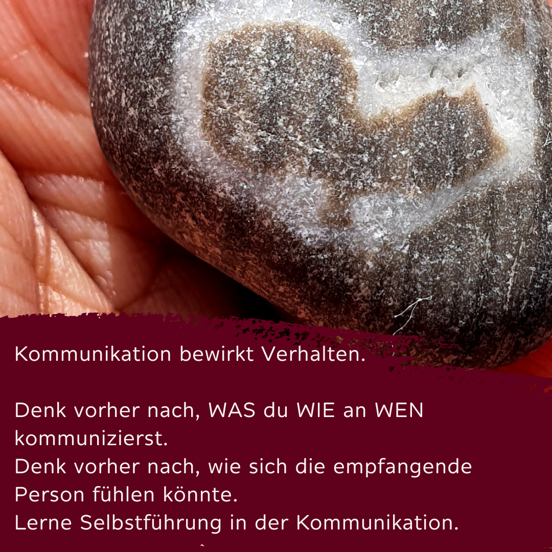 Selbstführung in der Kommunikation