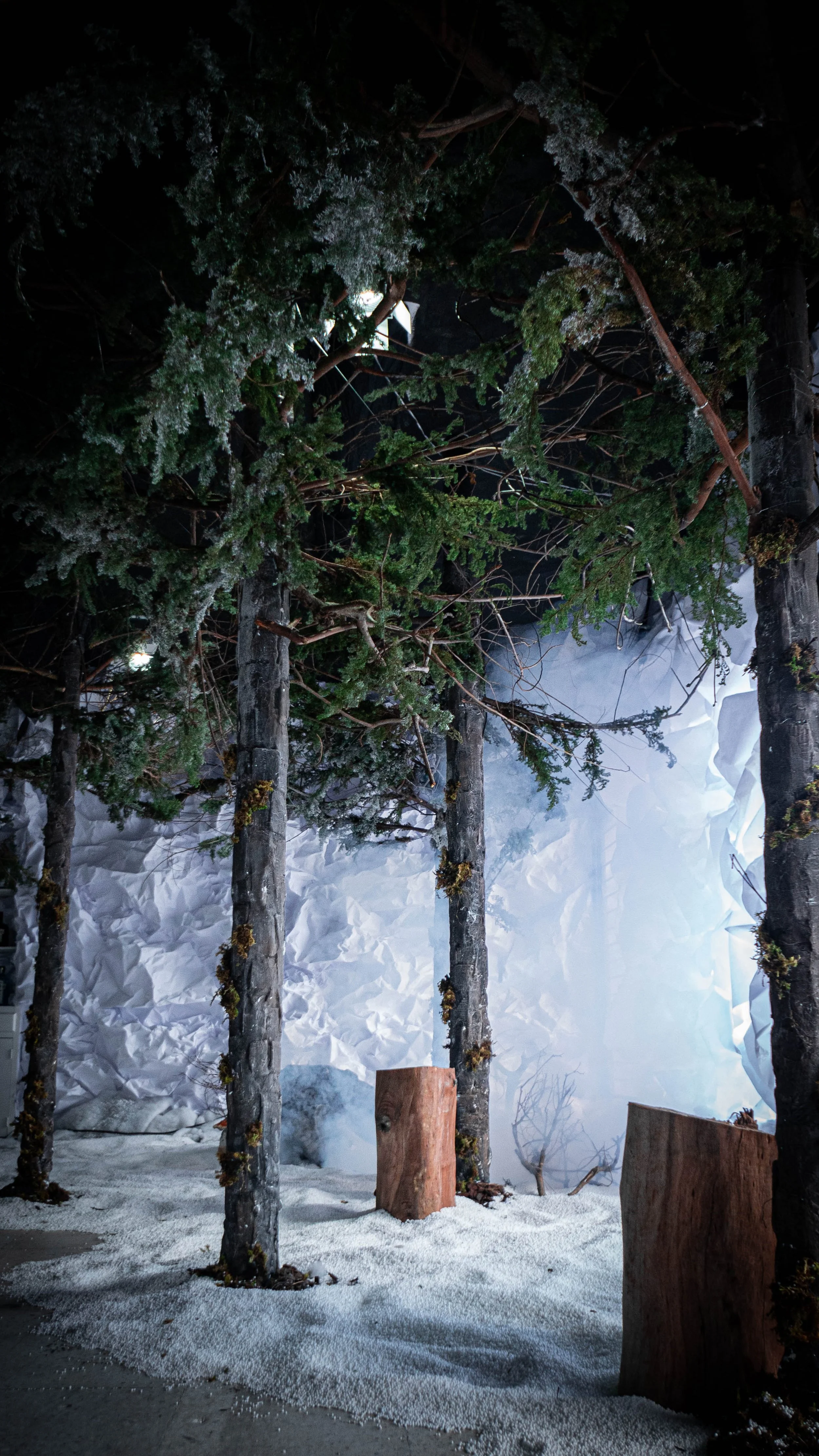 intothewoods-6.jpg
