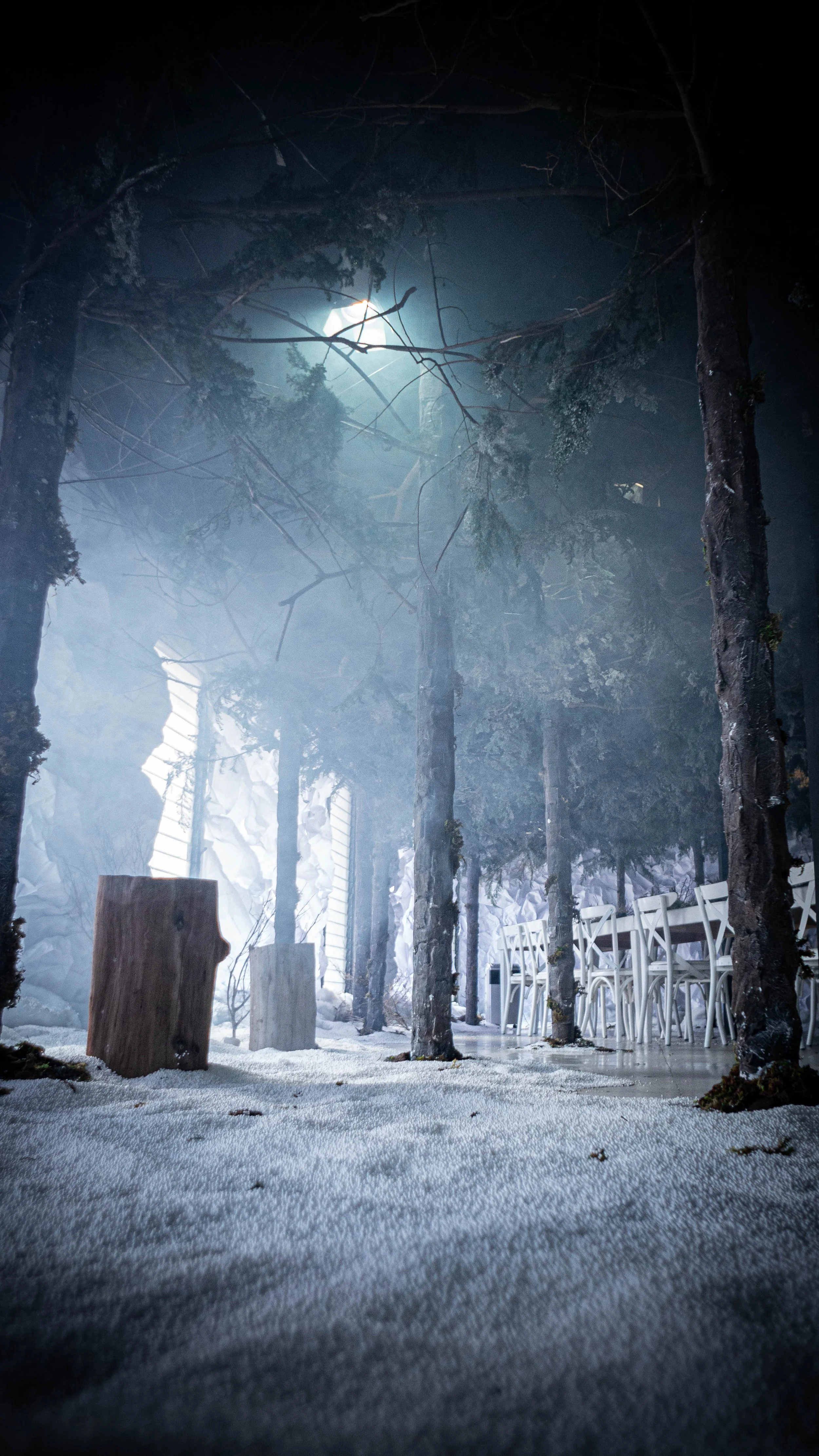 intothewoods-7.jpg