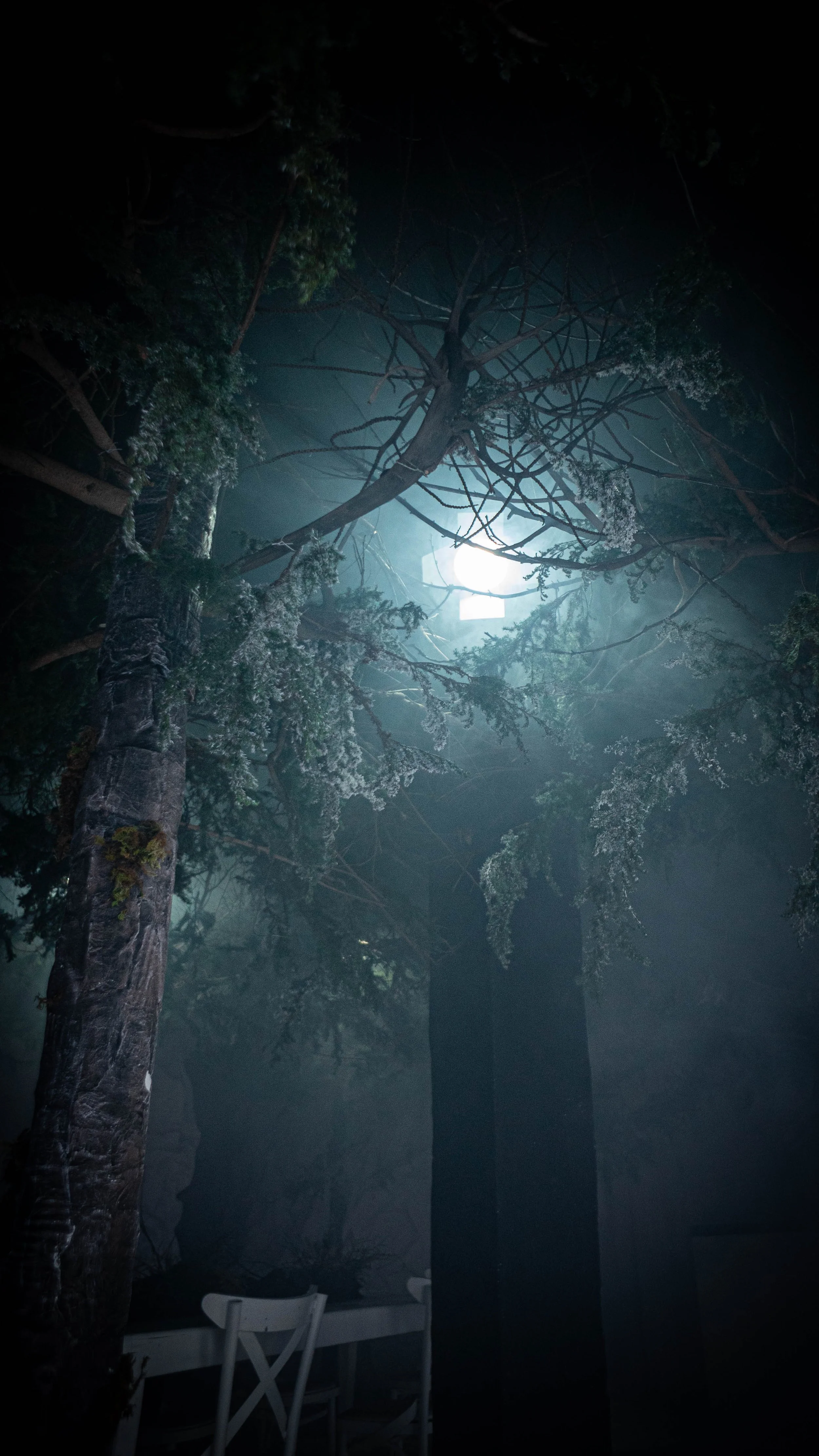 intothewoods-10.jpg
