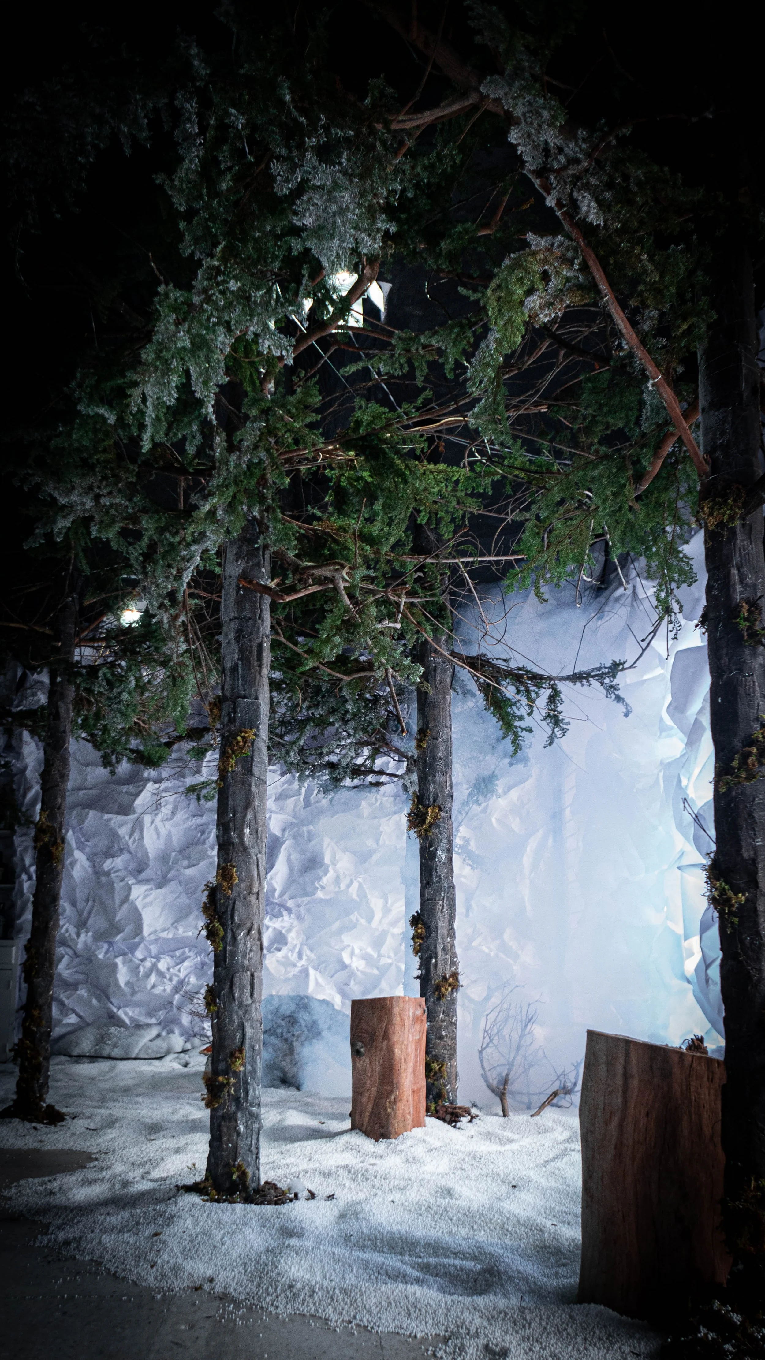 intothewoods.jpg