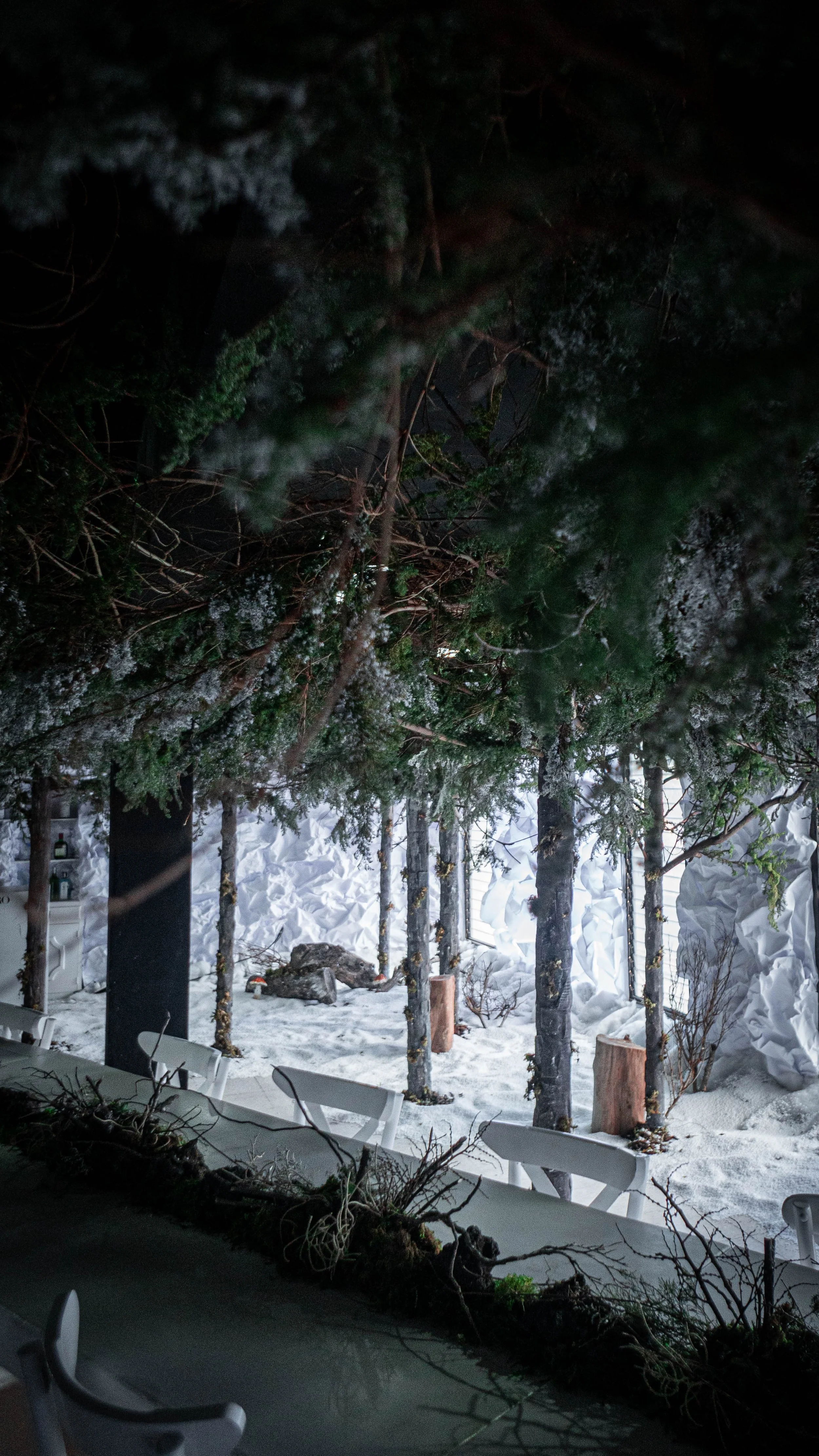intothewoods-4.jpg