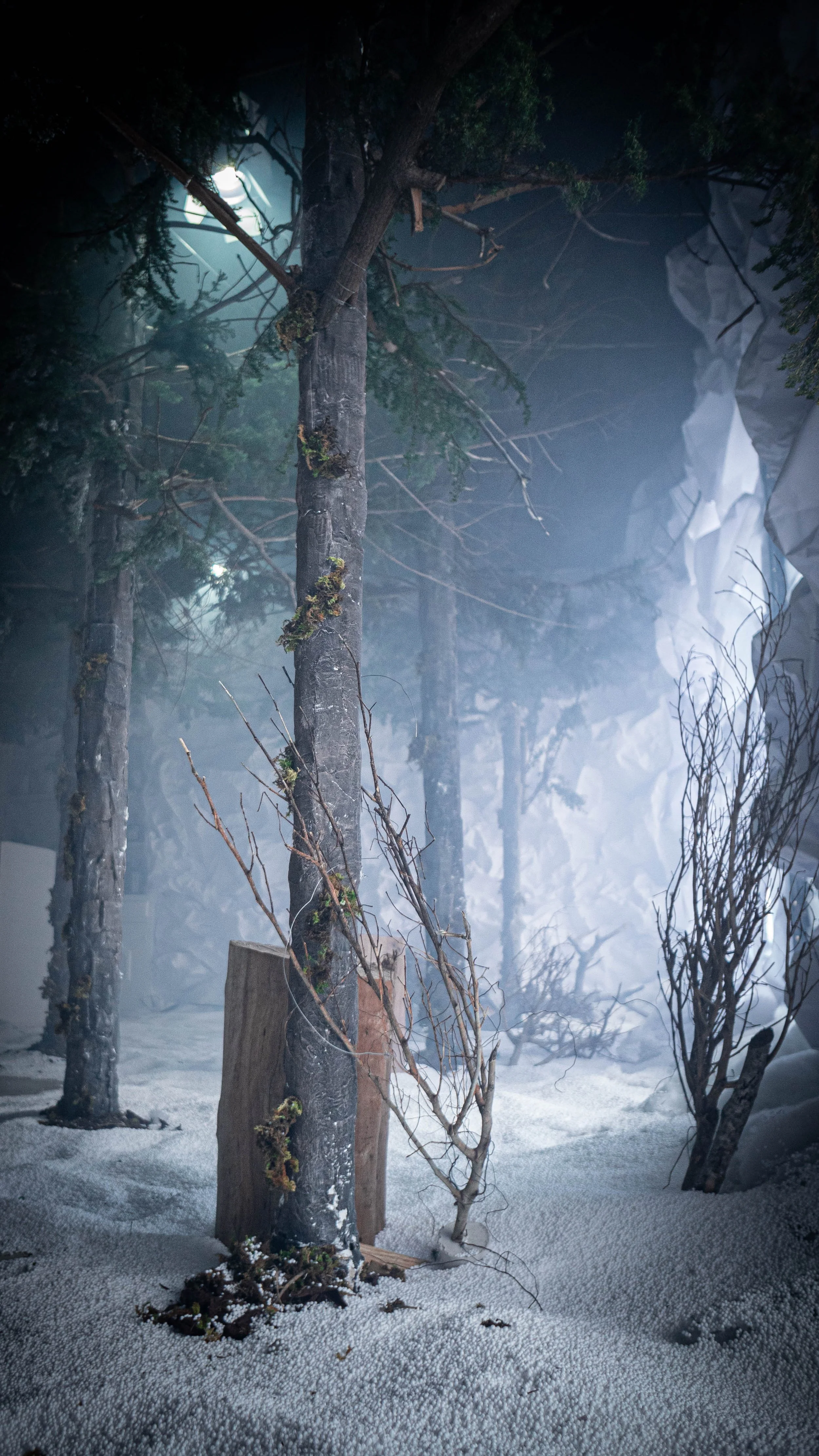 intothewoods-9.jpg
