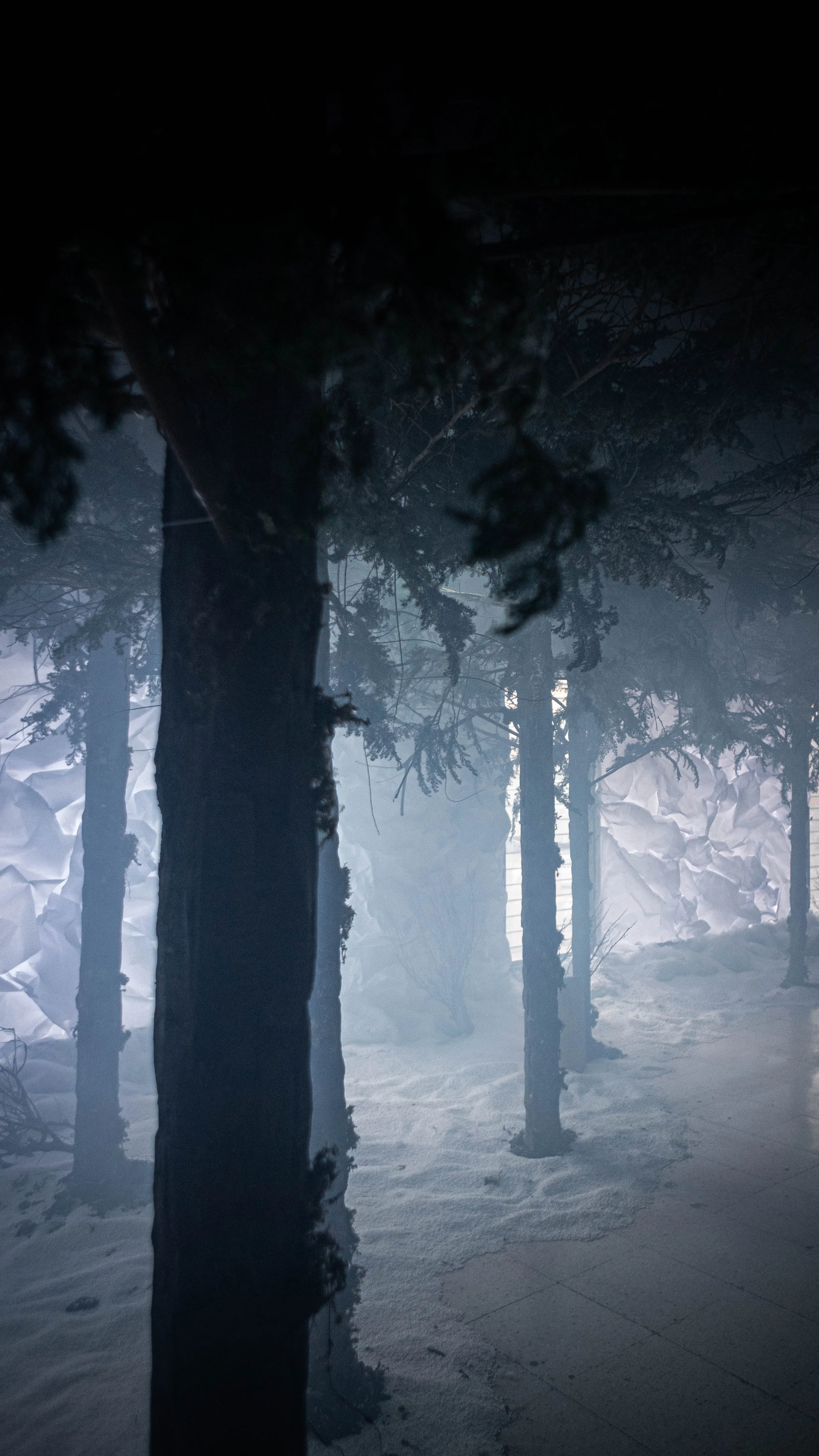 intothewoods-11.jpg