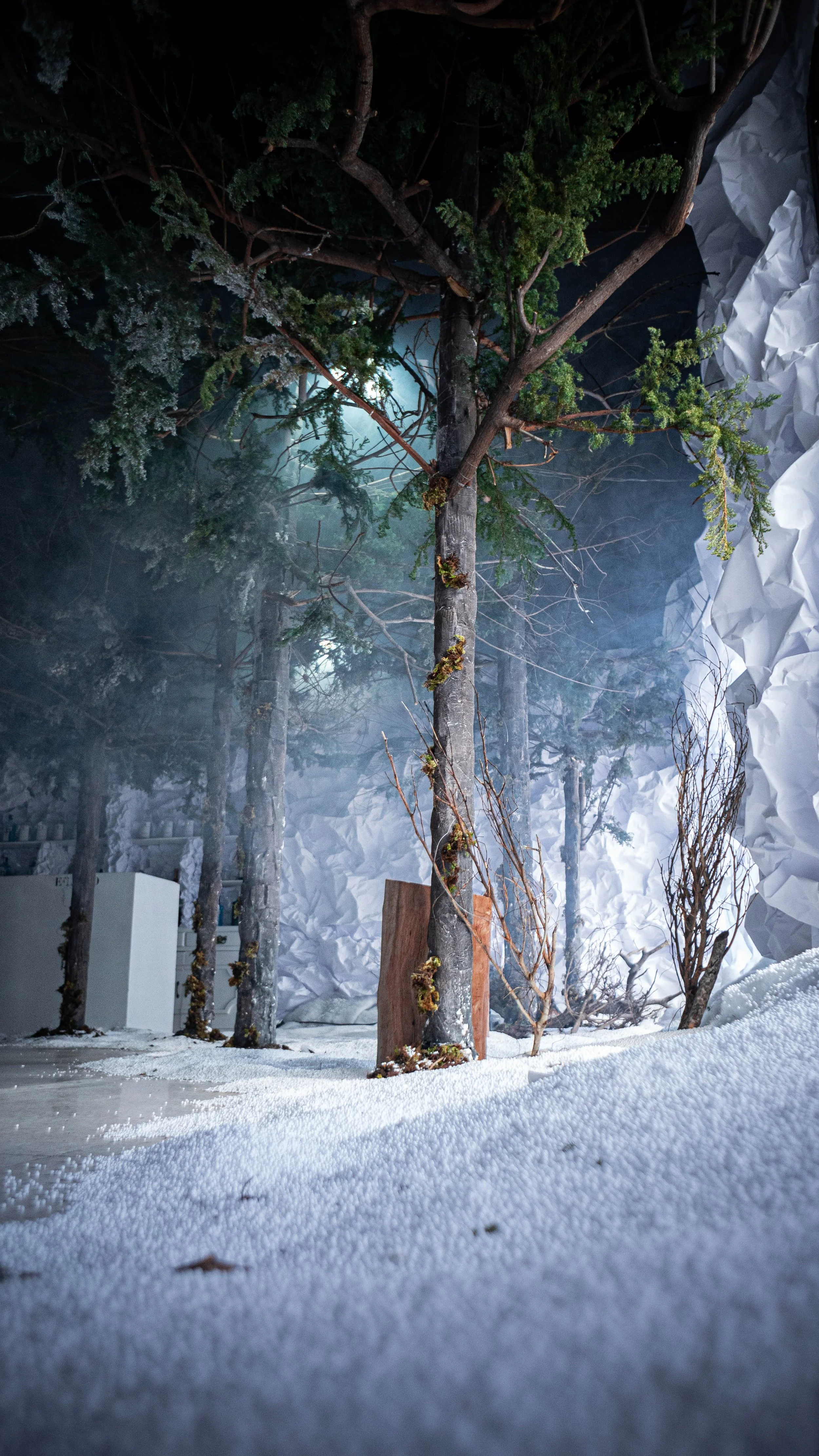 intothewoods-5.jpg