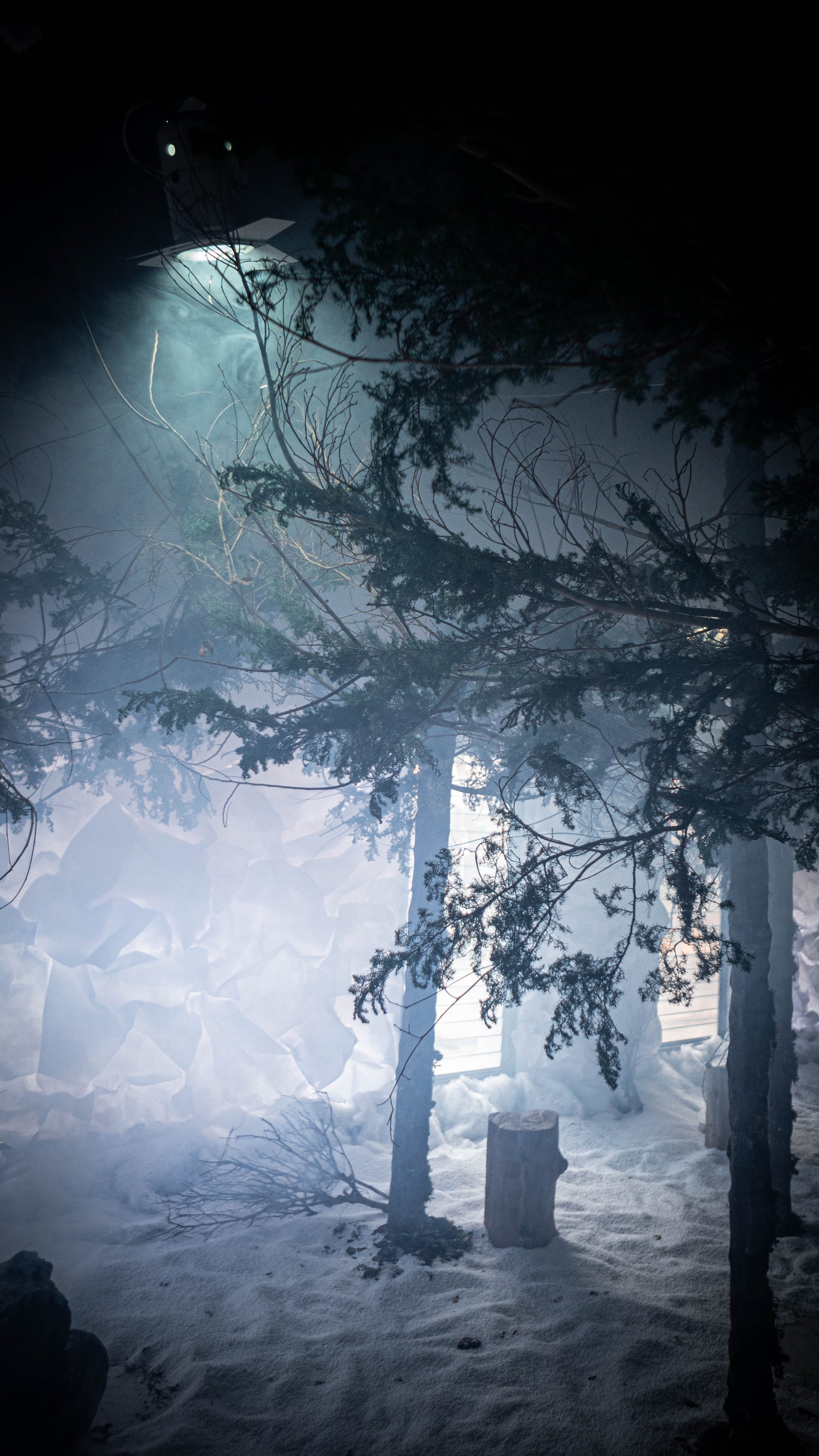 intothewoods-8.jpg