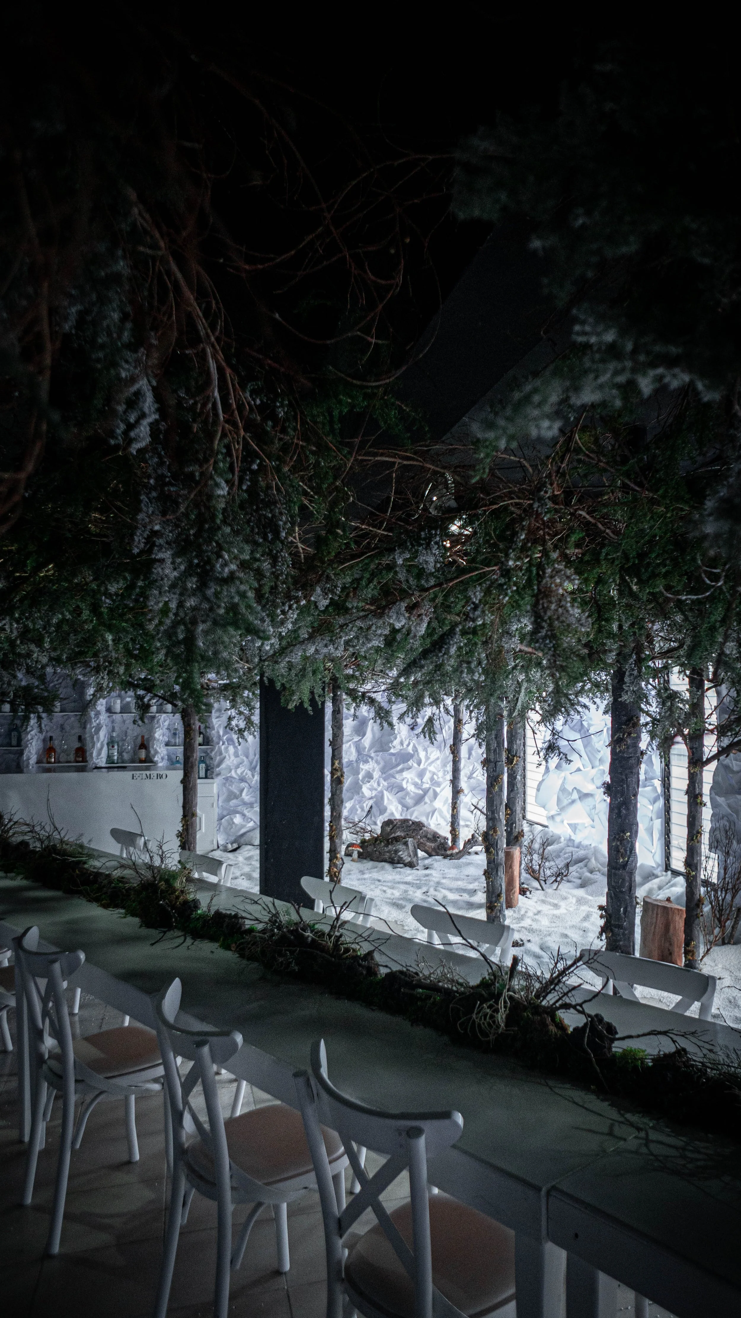 intothewoods-3.jpg