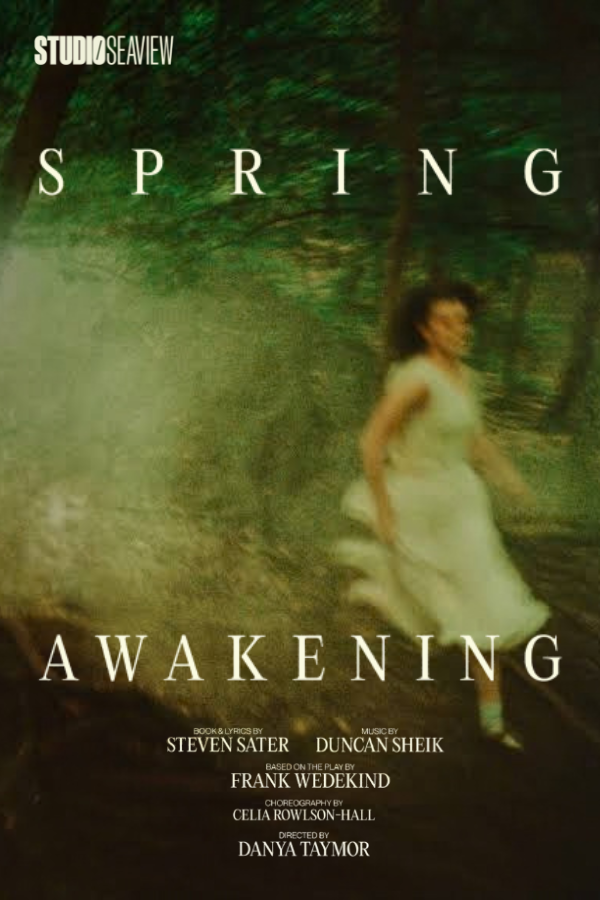  SPRING AWAKENING 
 
Co-Producer  
  November 27, 2026  
(Studio Seaview, NYC)