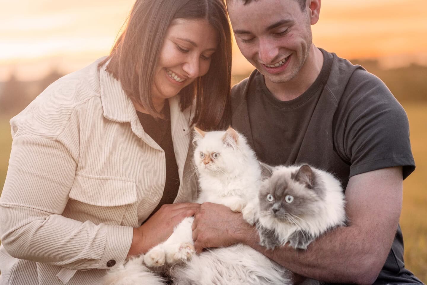 Eh oui, il m'arrive parfois de prendre des chats en photos aussi ! 🐱 Ces deux petites boules de poils &eacute;taient si adorable &agrave; prendre en photo 💜
.
Nous les avions pos&eacute;s dans le gazon le temps de prendre des photos de leurs humain