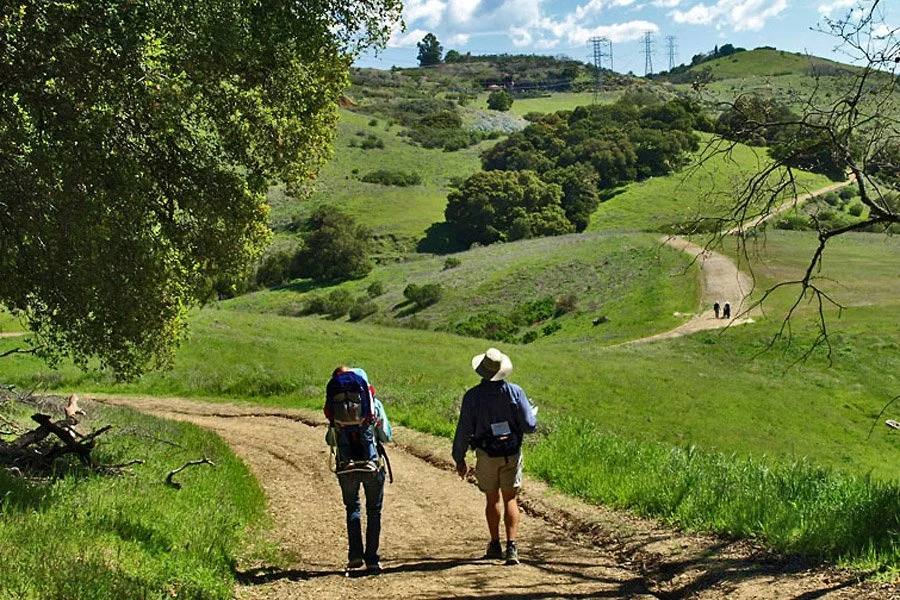Why Everyone is Moving to Almaden Valley