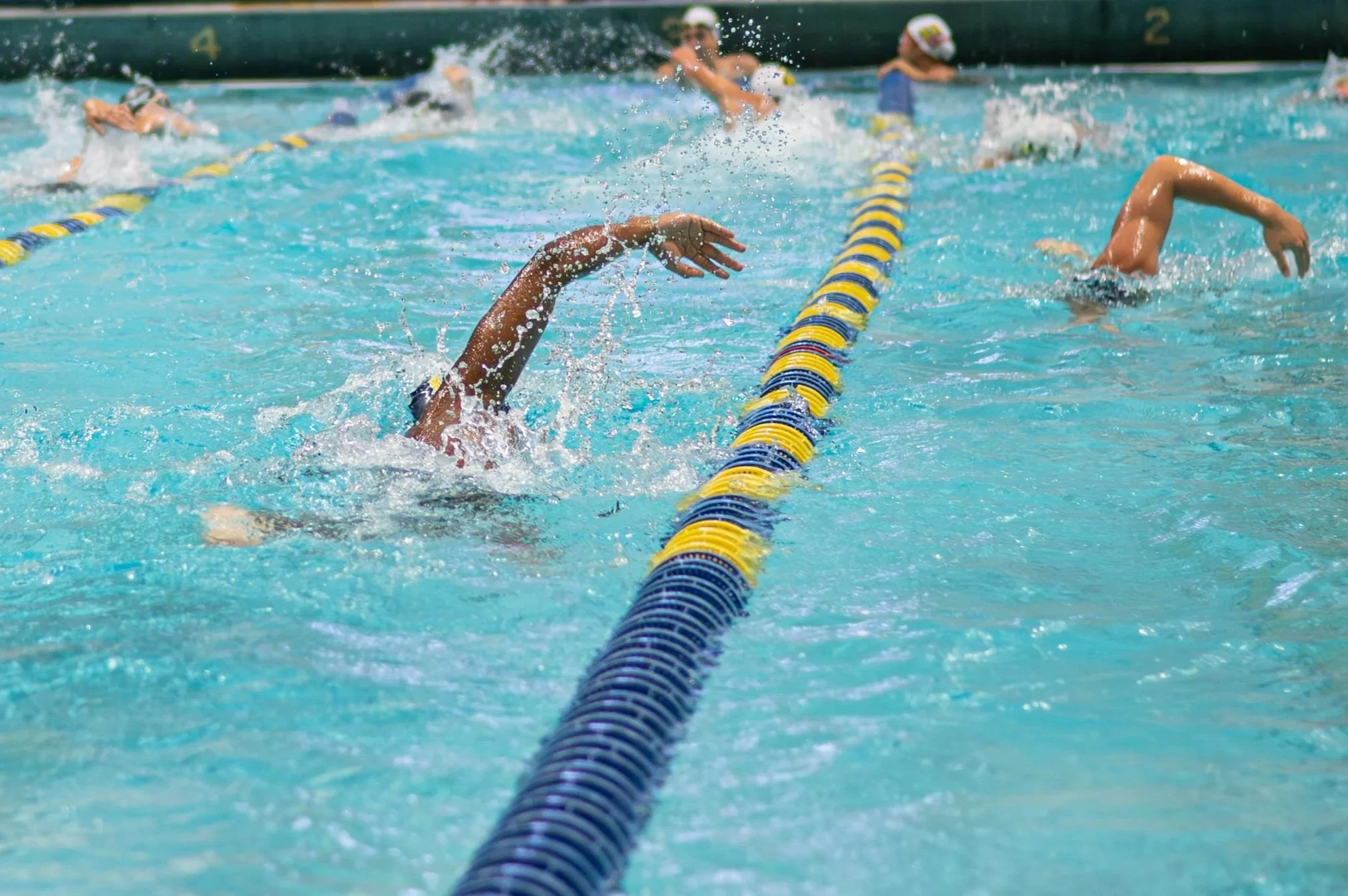 LASALLE+SWIM-04.jpg