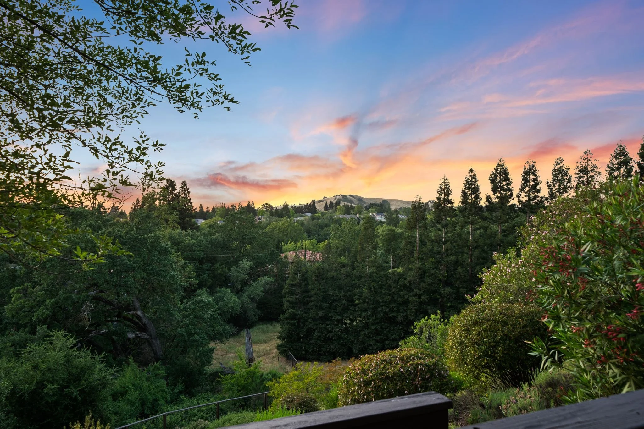 mls_Twilight-8.jpg