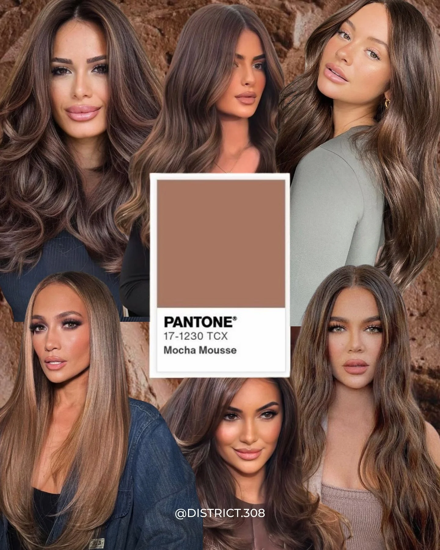 We&rsquo;ve so got our eyes on what&rsquo;s trending this fall 👀

What shade are you loving? Let us know in the comments!

Save for inspo &amp; let&rsquo;s create some hair magic at D3 ✨ district308.com/book

#michiganhairsalon #michiganhairstylist 