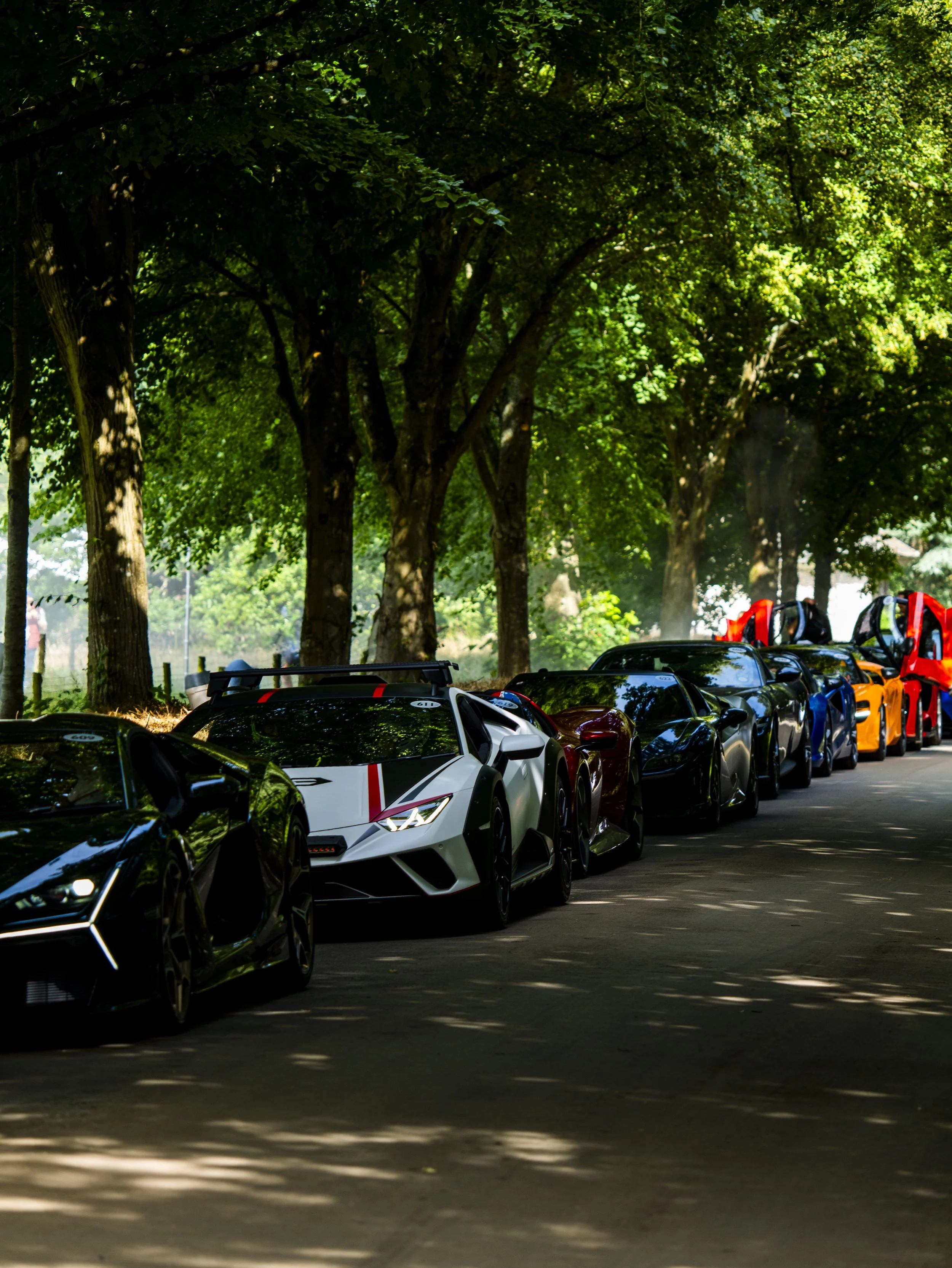 Goodwood Festival of Speed automotive Photography LAMBORGHINI