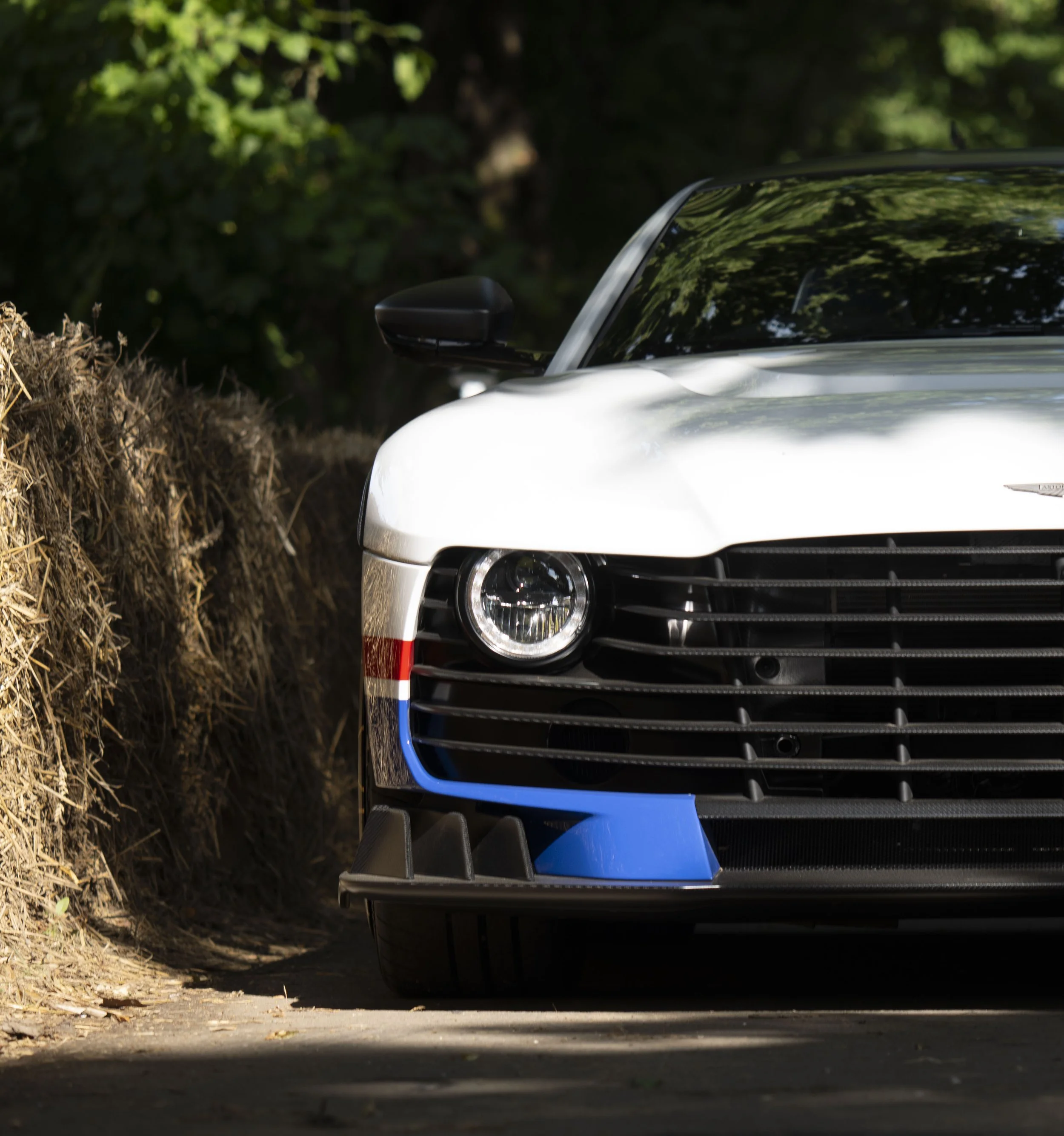 Goodwood Festival of Speed automotive Photography ASTON MARTIN