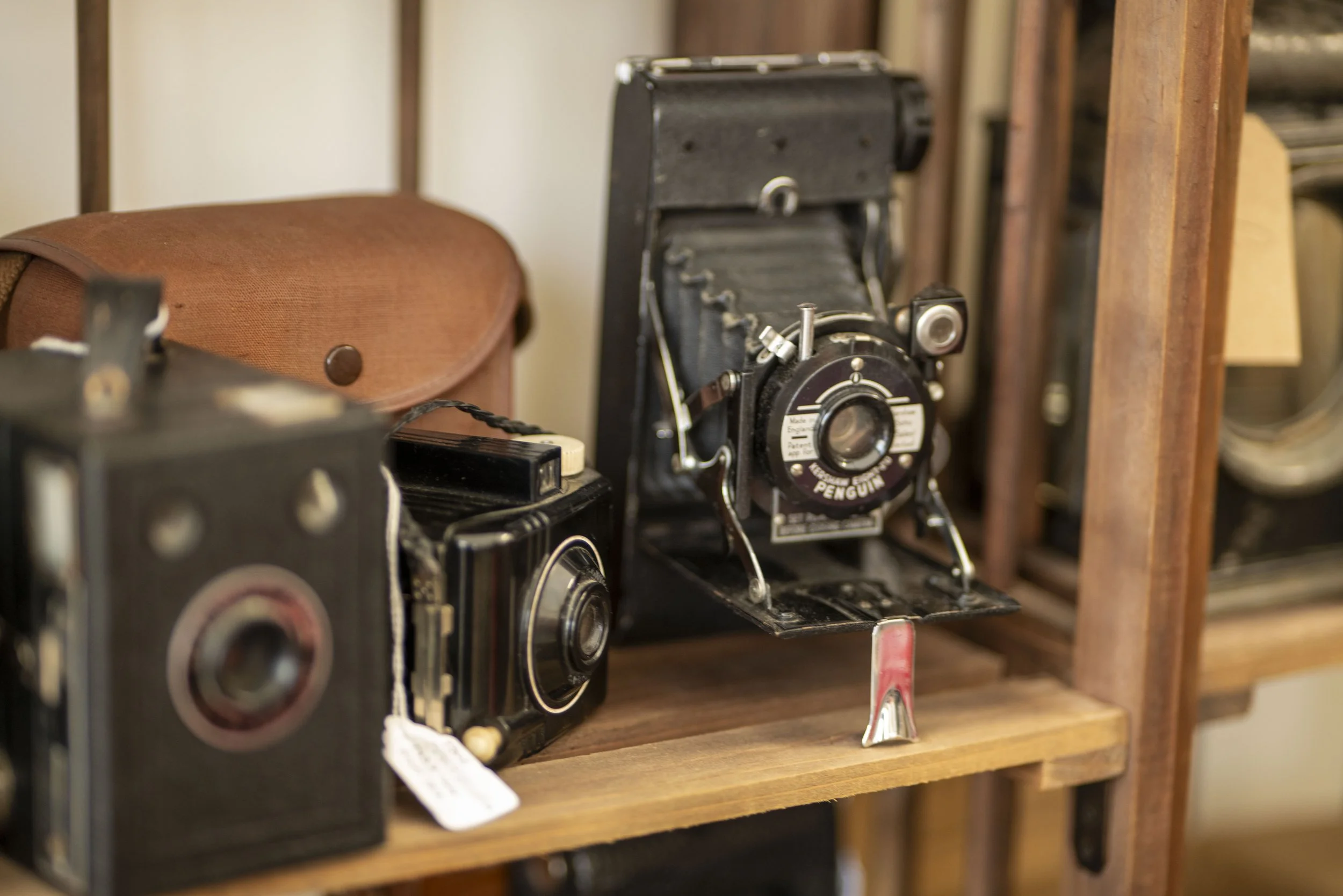 Goodwood Revival 2024 Car Photography
