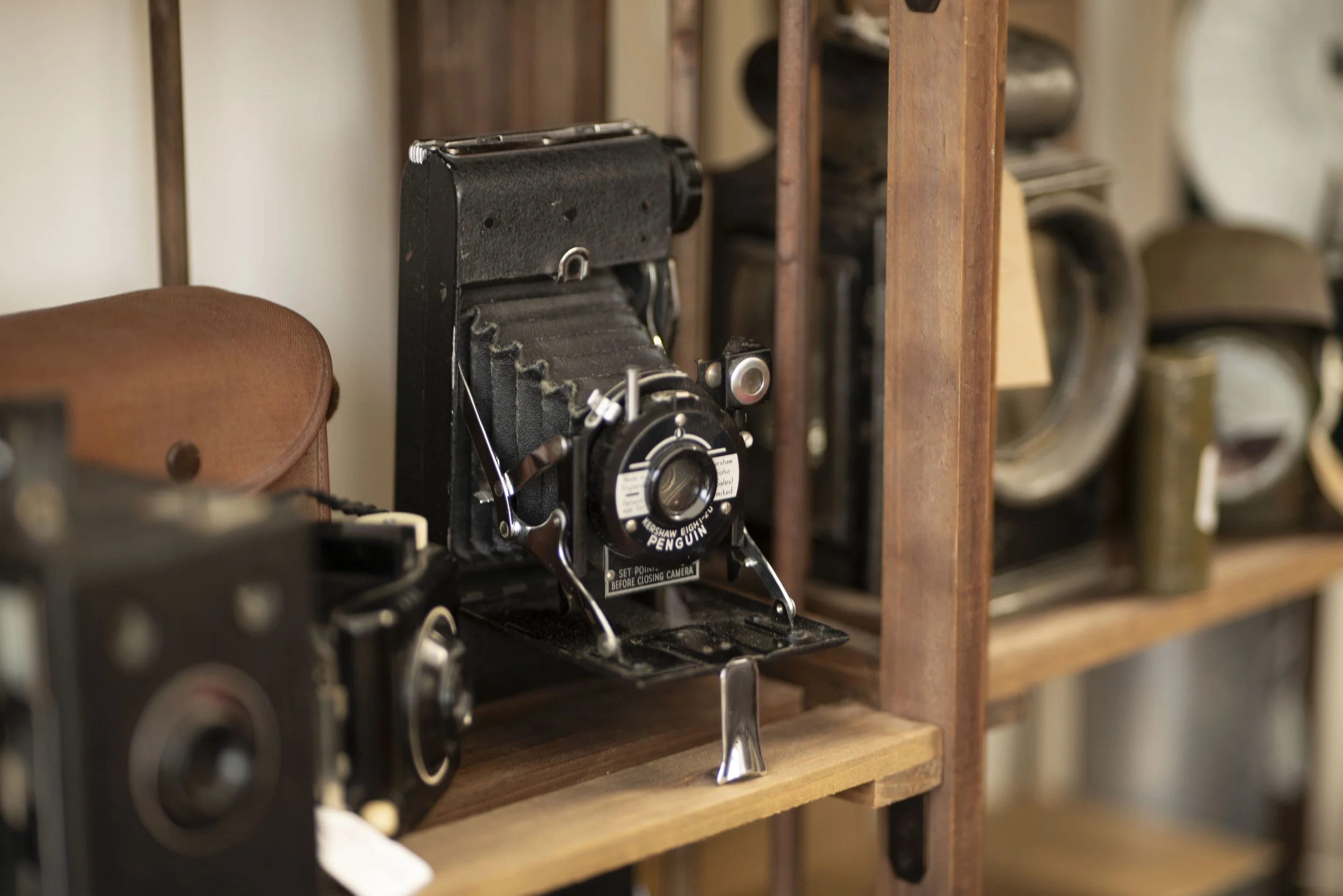 Goodwood Revival 2024 Car Photography